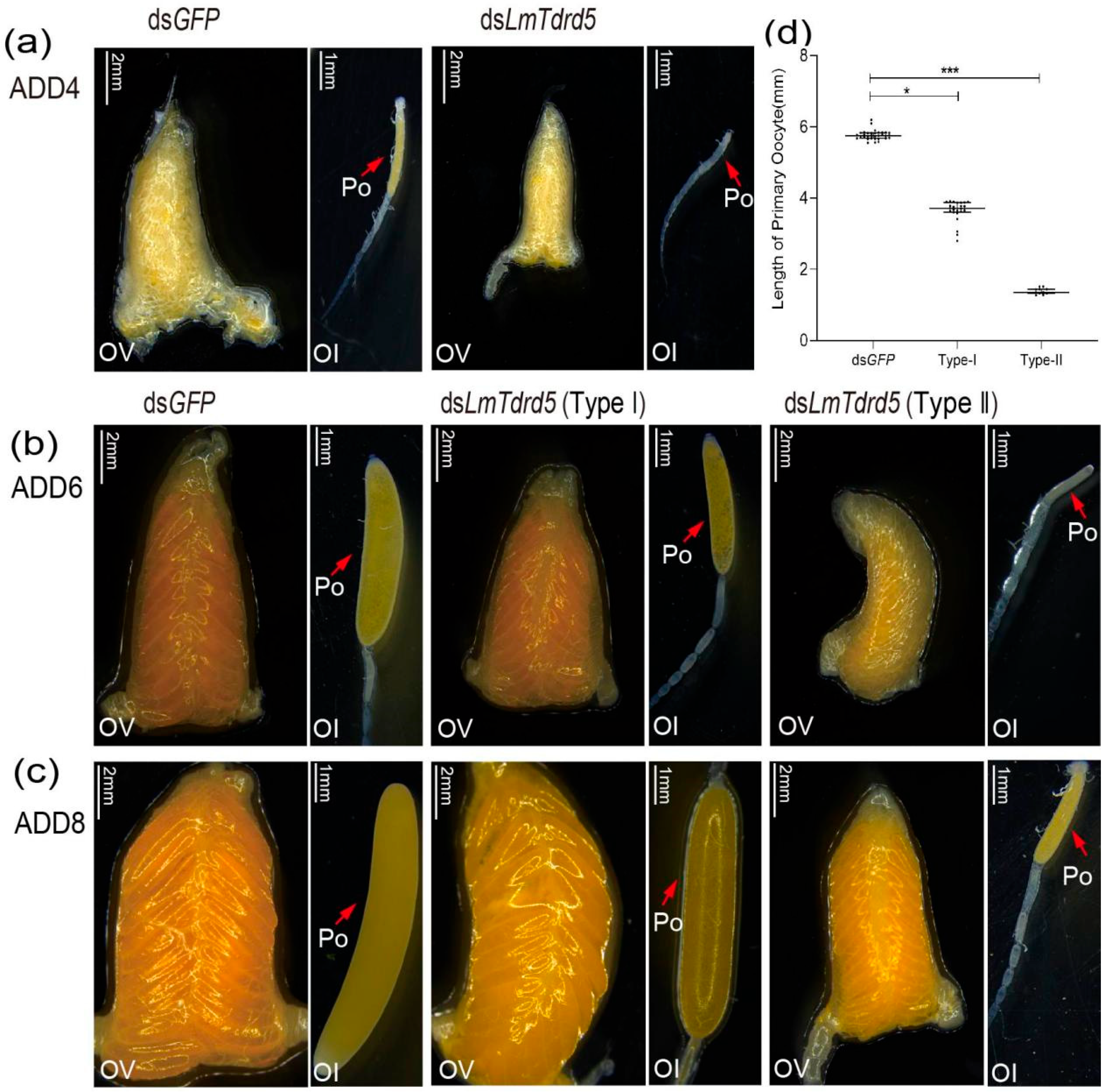 Insects 13 00227 g004