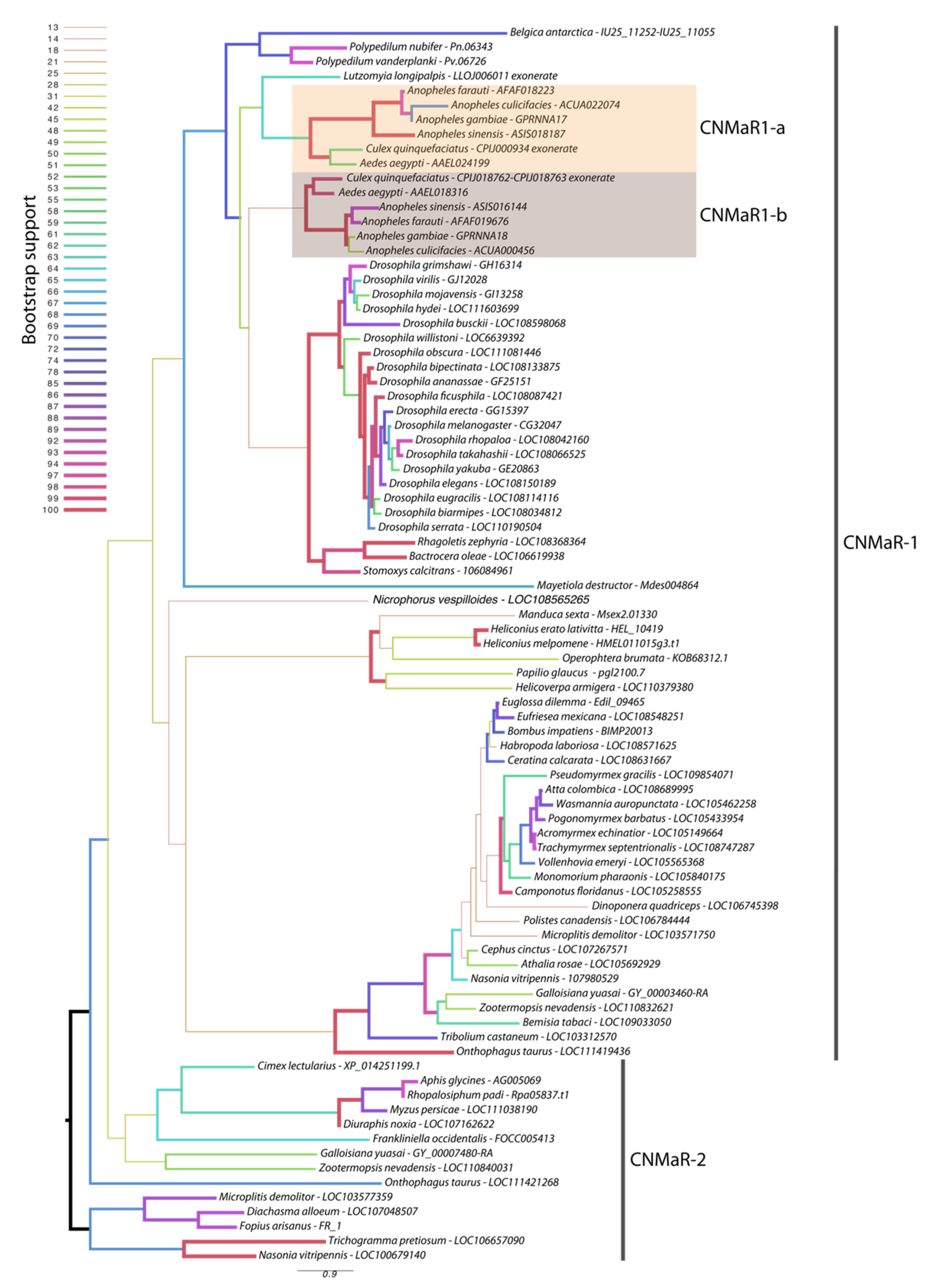 Insects 13 00230 g001