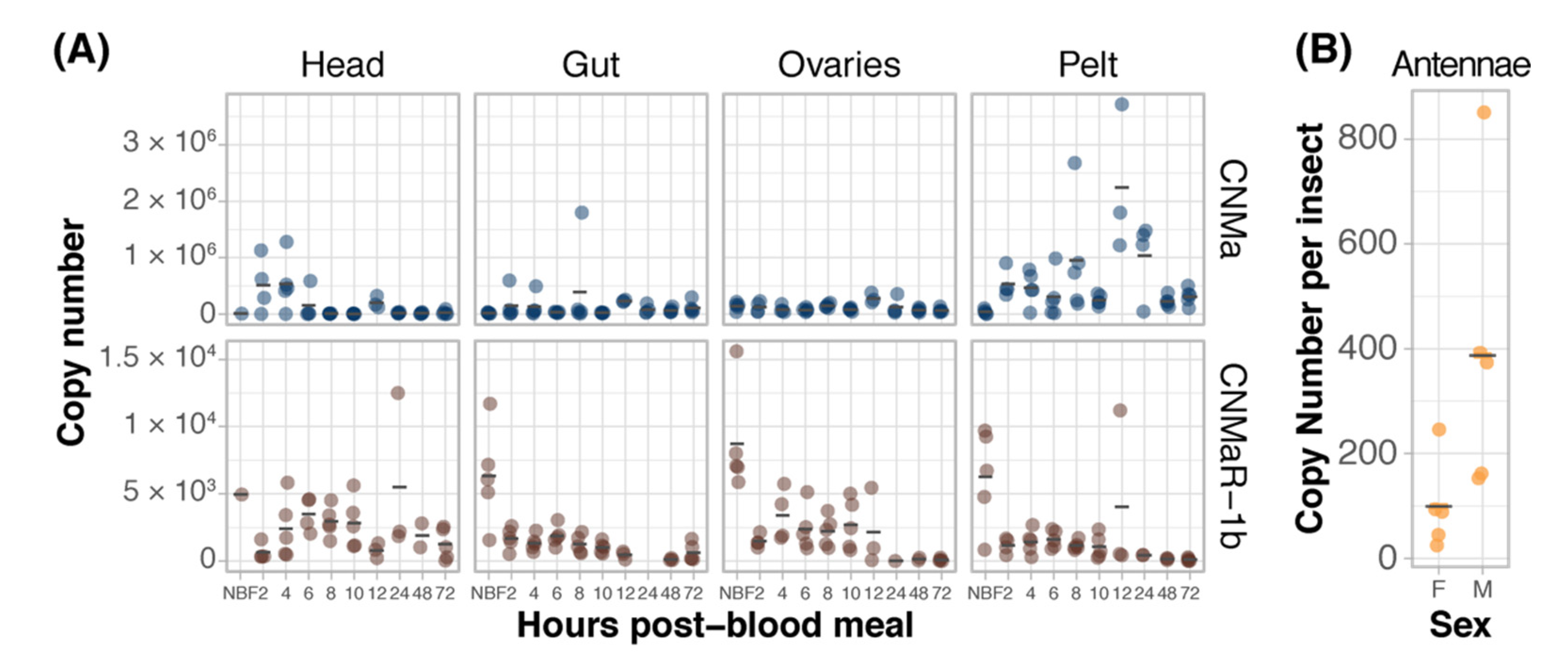 Insects 13 00230 g003
