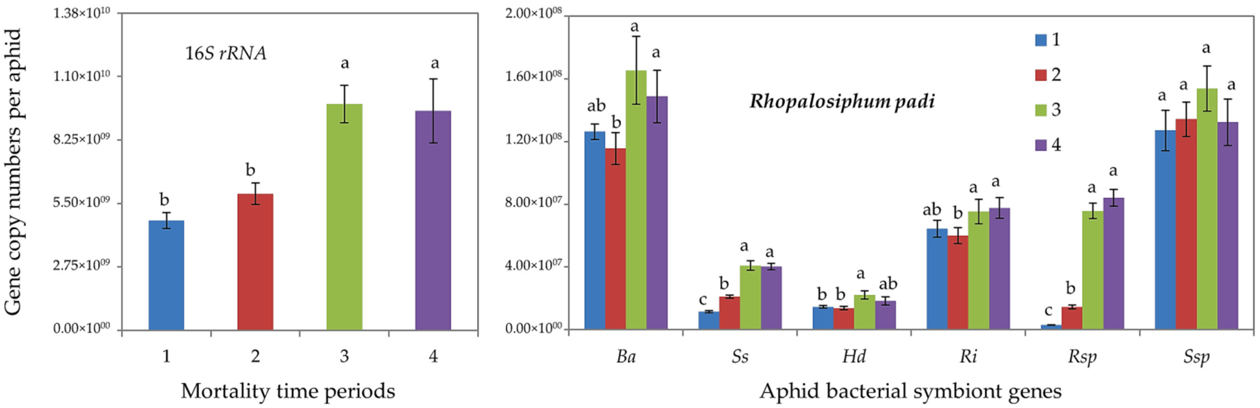 Insects 13 00231 g002