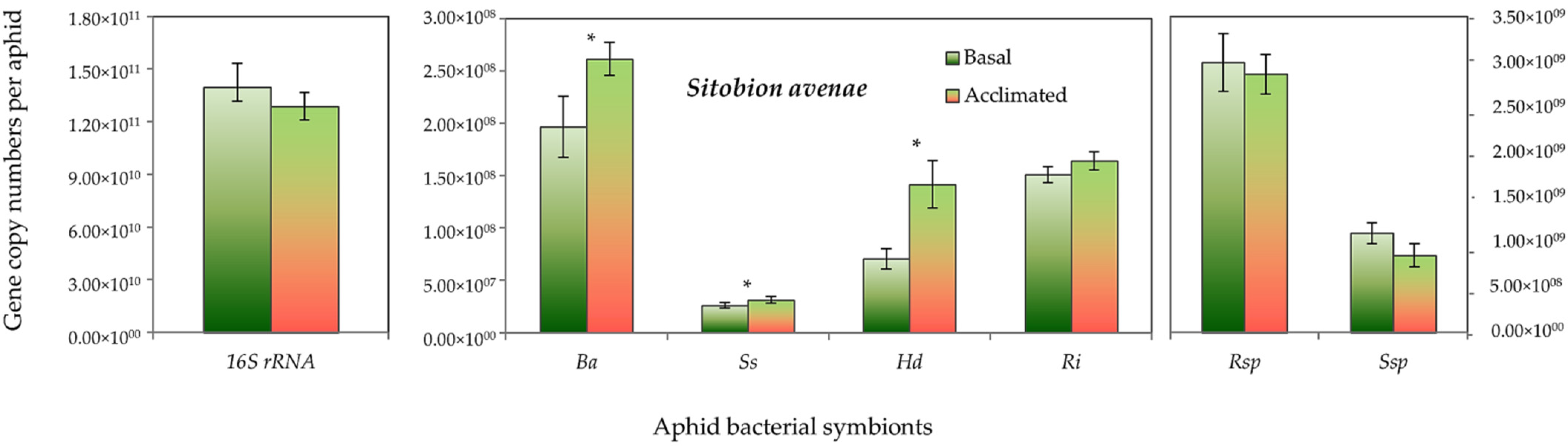 Insects 13 00231 g006