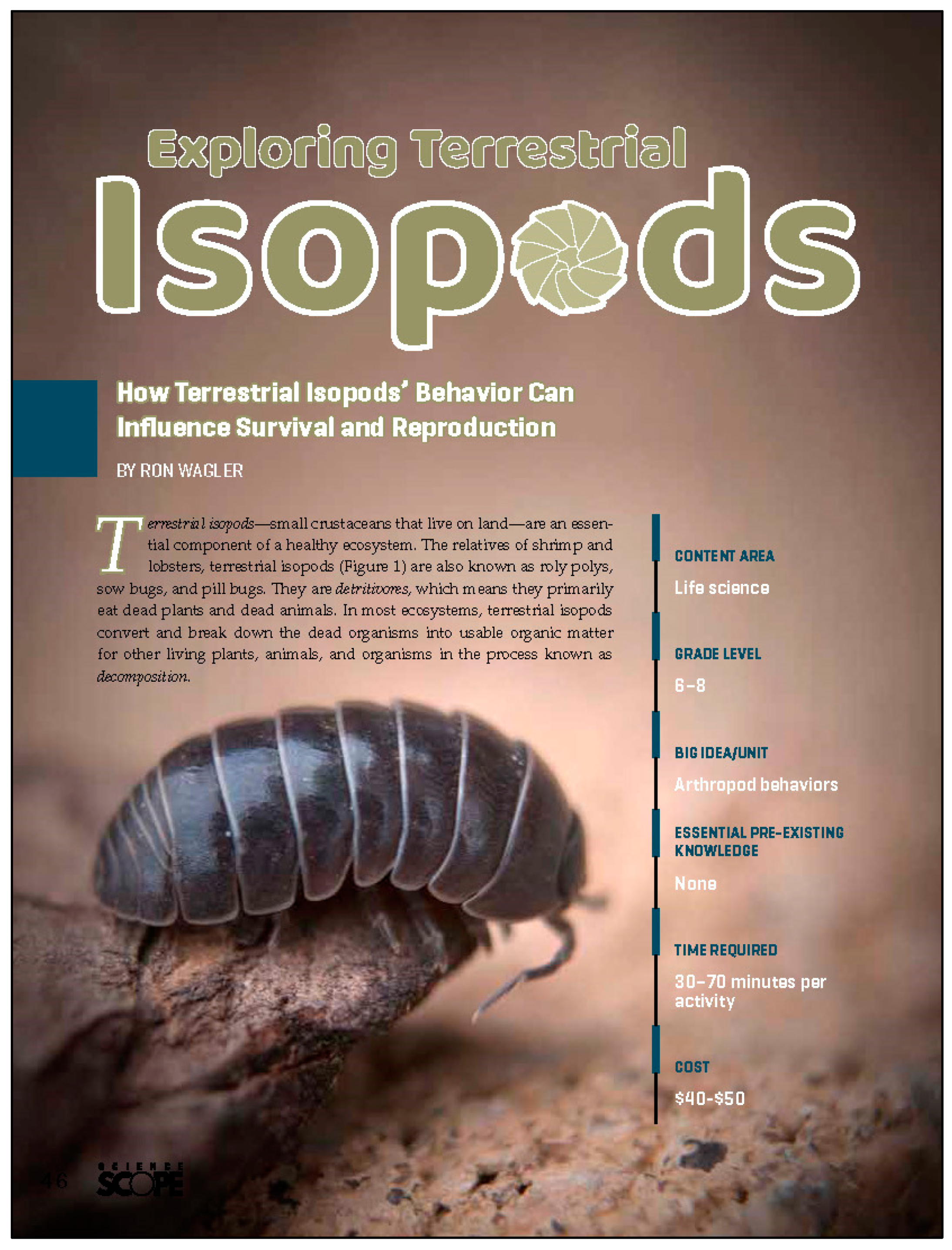 Insects 13 00233 g002