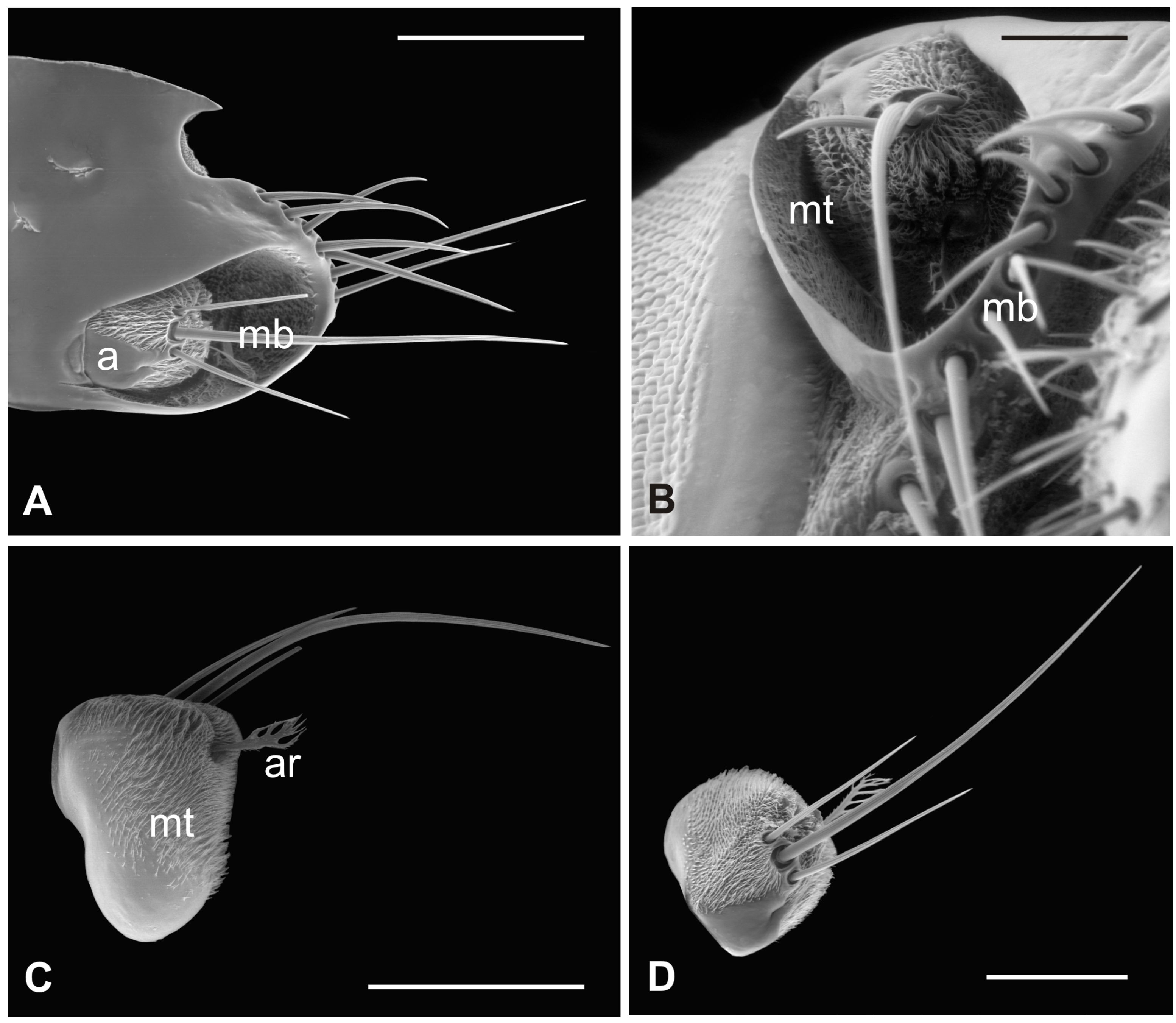 Insects 13 00236 g003 Insects 13 00236 g003