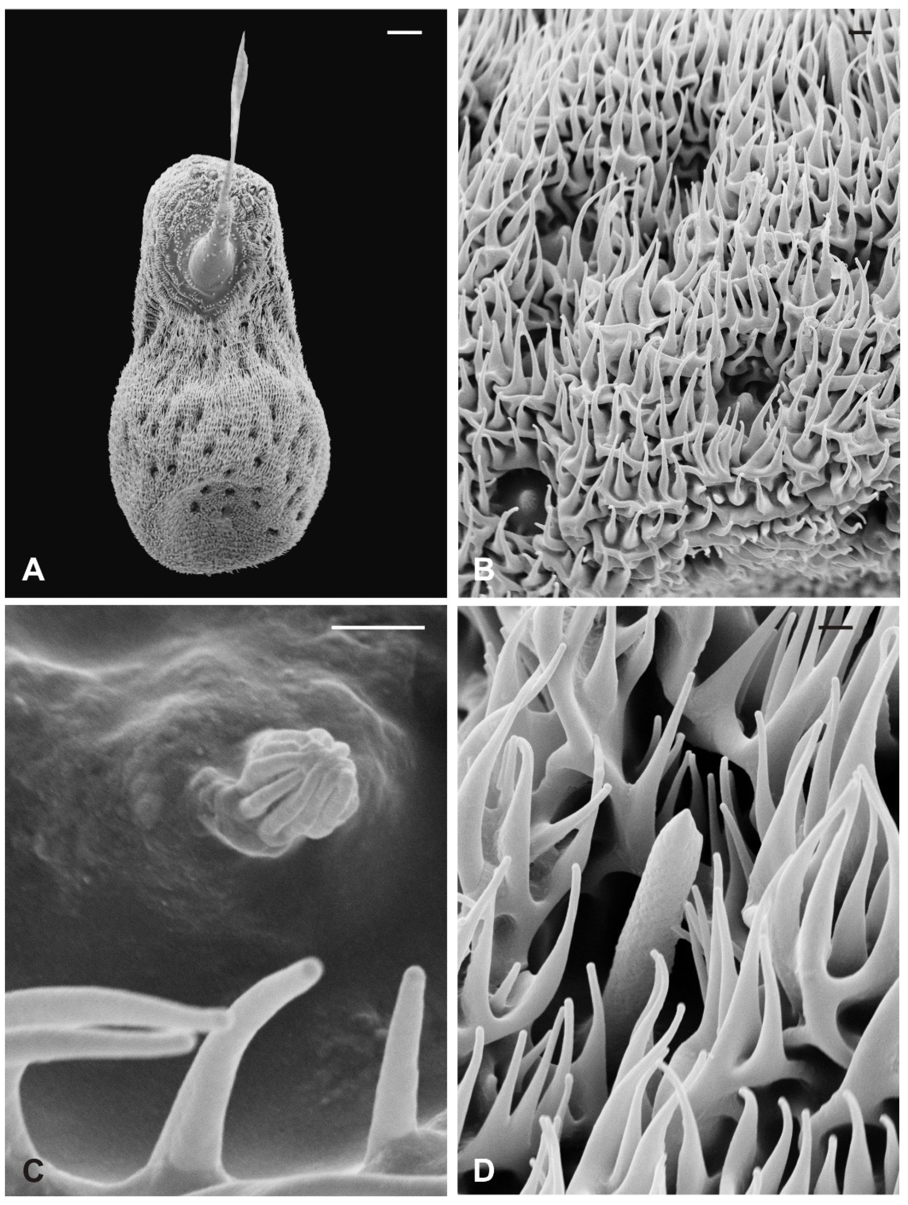 Insects 13 00236 g004 Insects 13 00236 g004