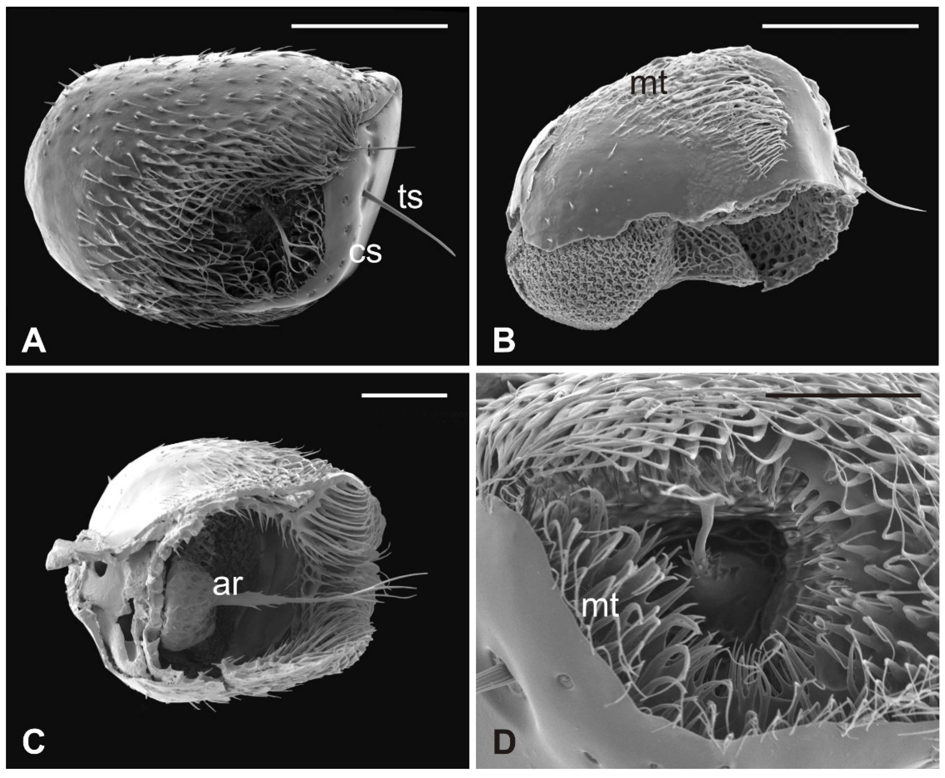 Insects 13 00236 g005 Insects 13 00236 g005