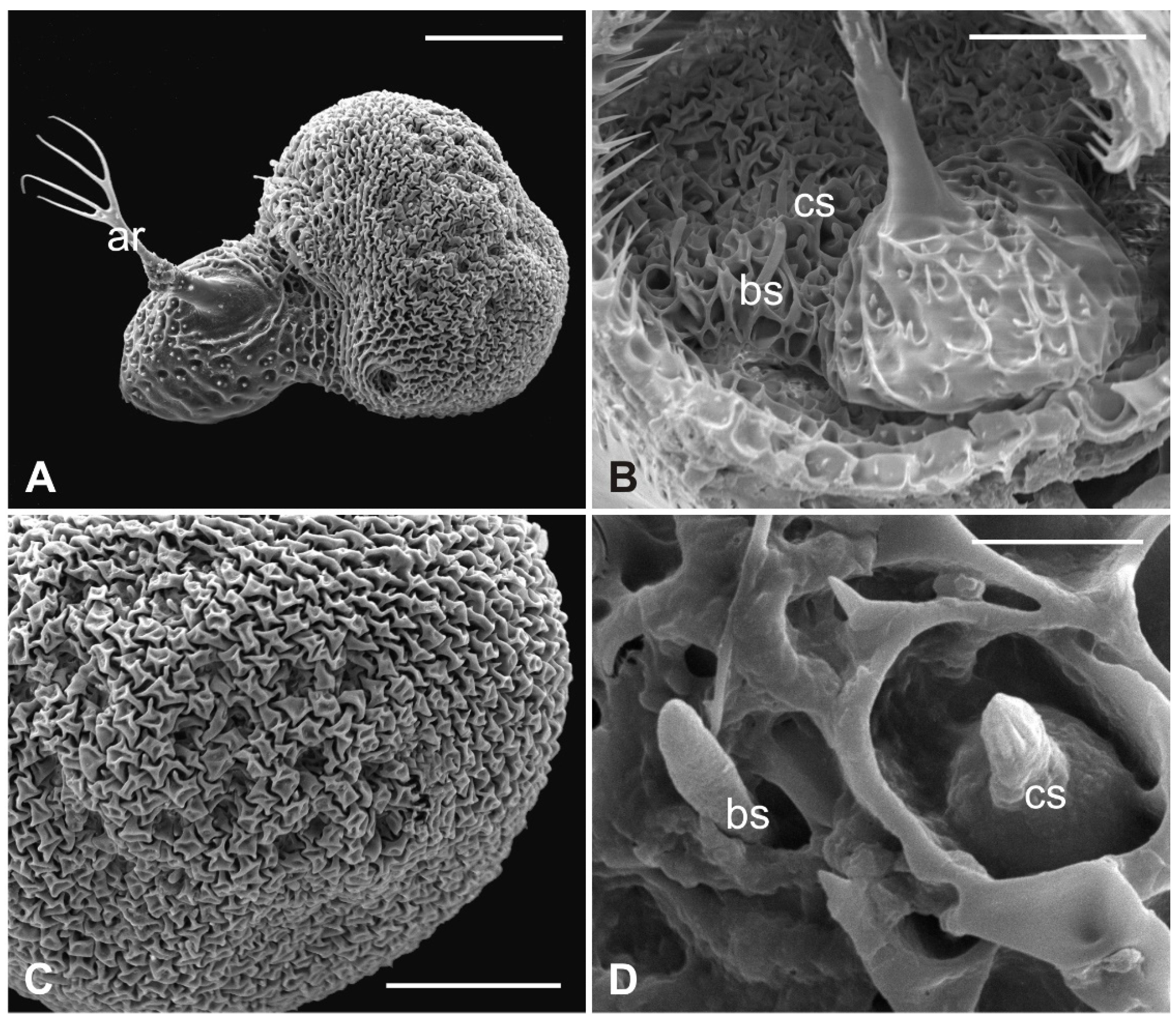 Insects 13 00236 g006 Insects 13 00236 g006