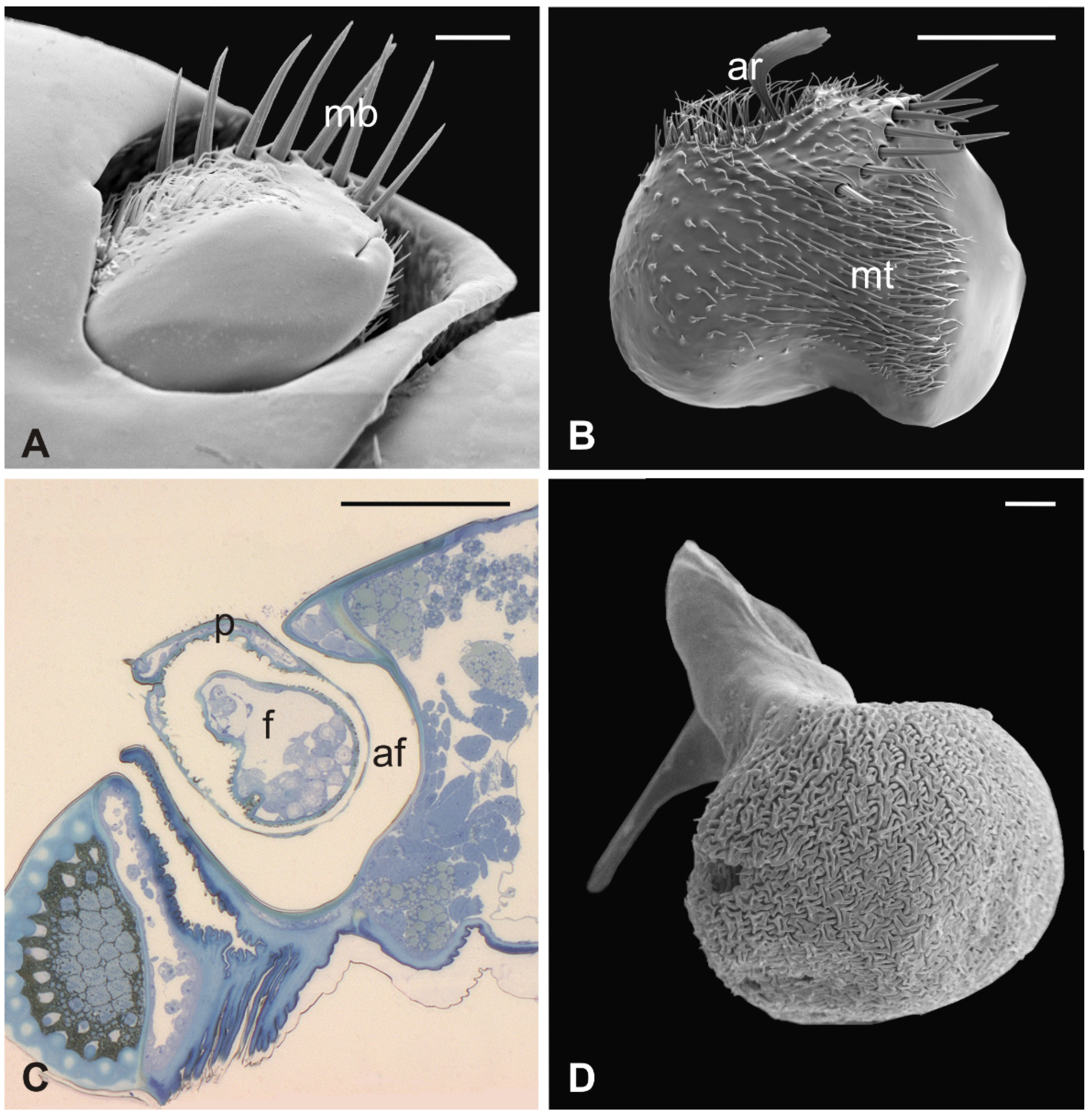 Insects 13 00236 g007 Insects 13 00236 g007