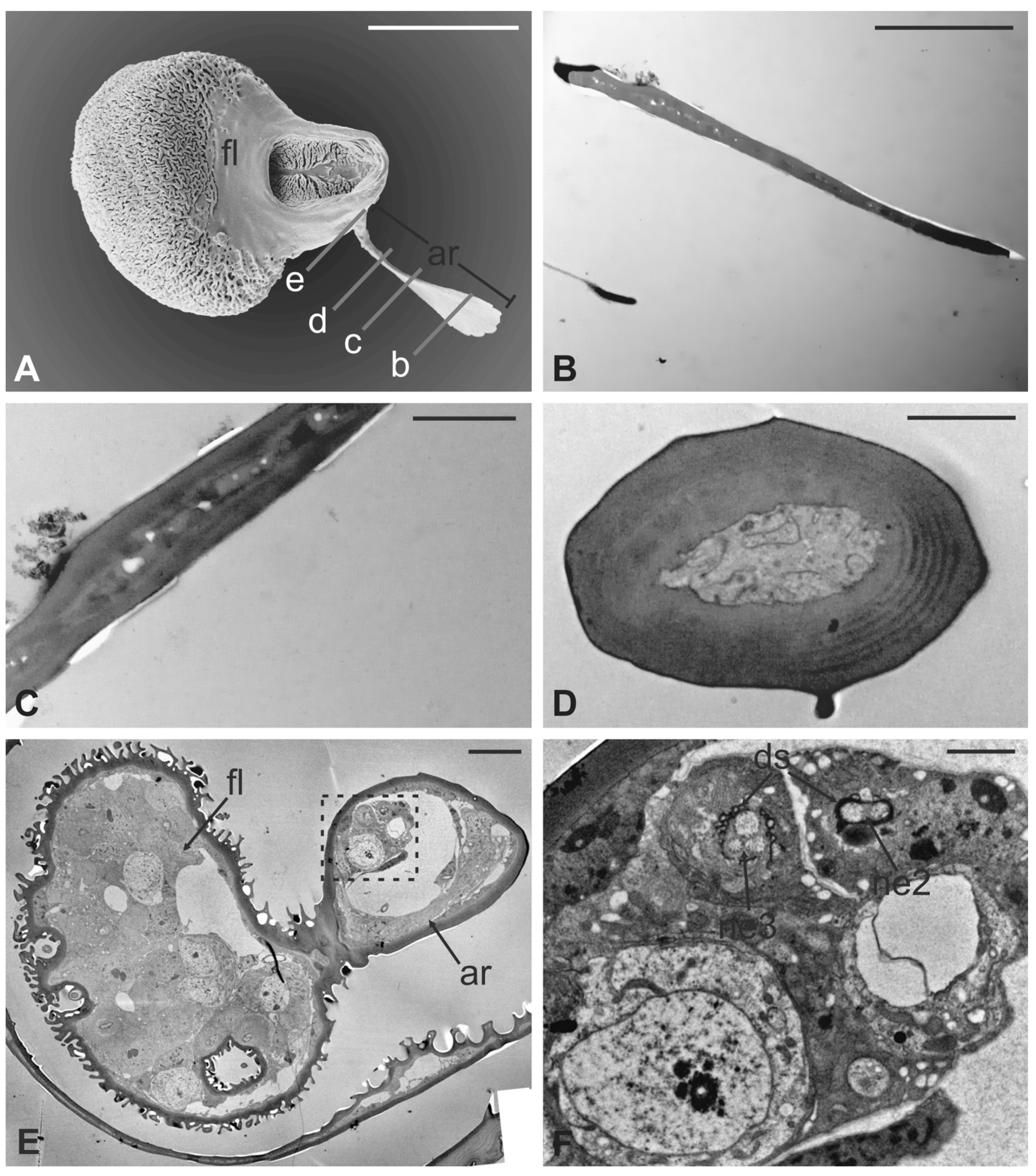 Insects 13 00236 g010 Insects 13 00236 g010