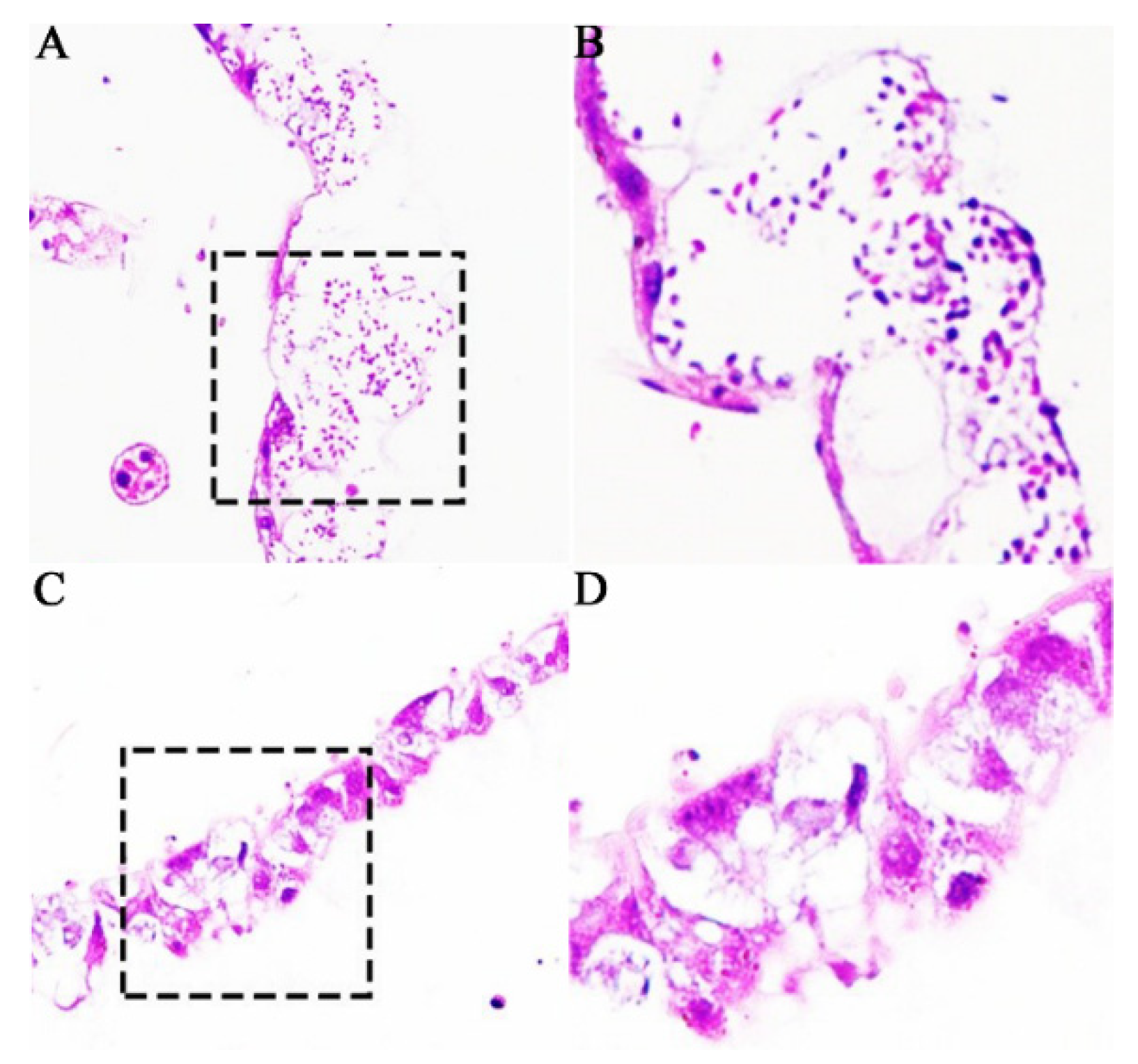Insects 13 00241 g002
