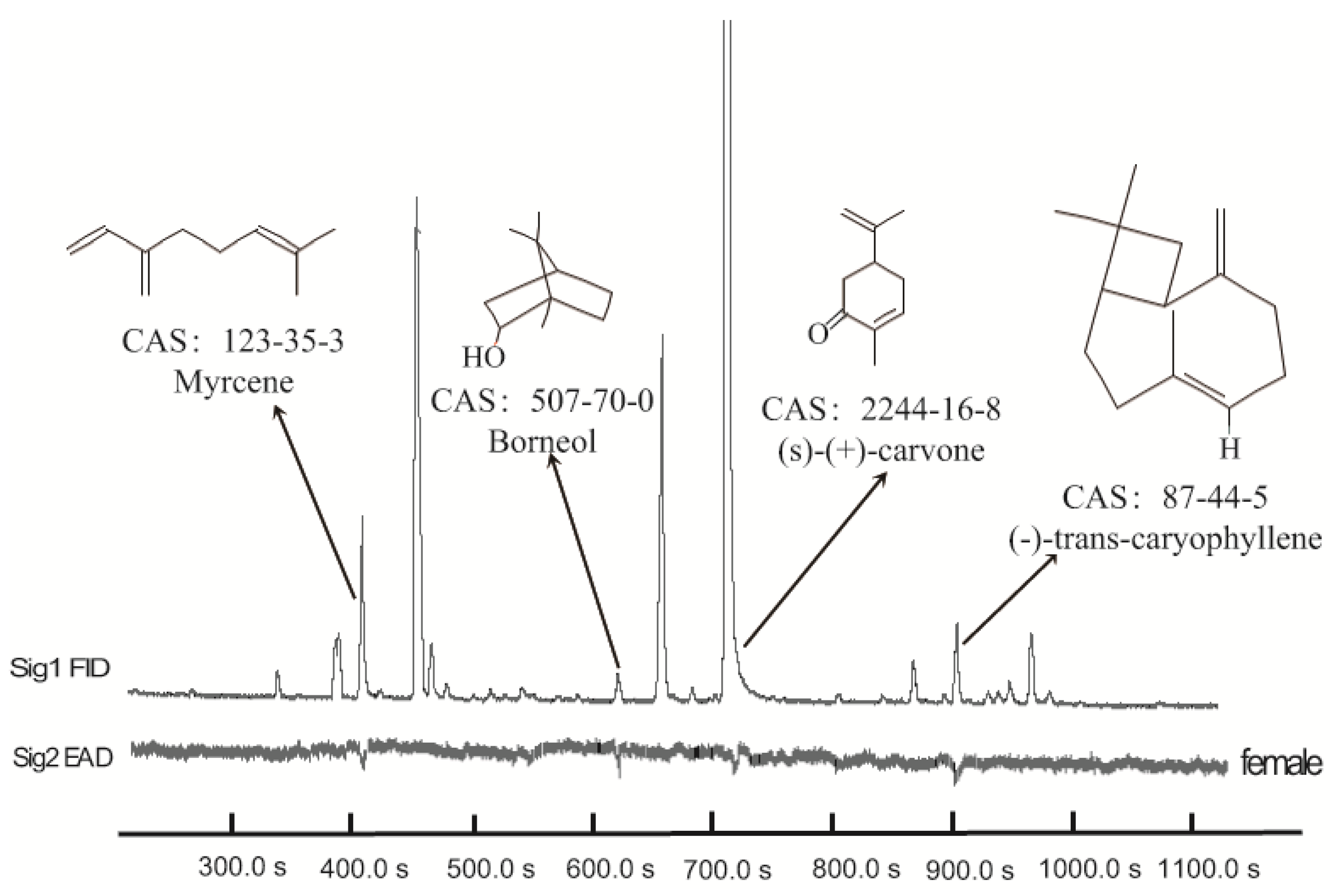 Insects 13 00244 g001