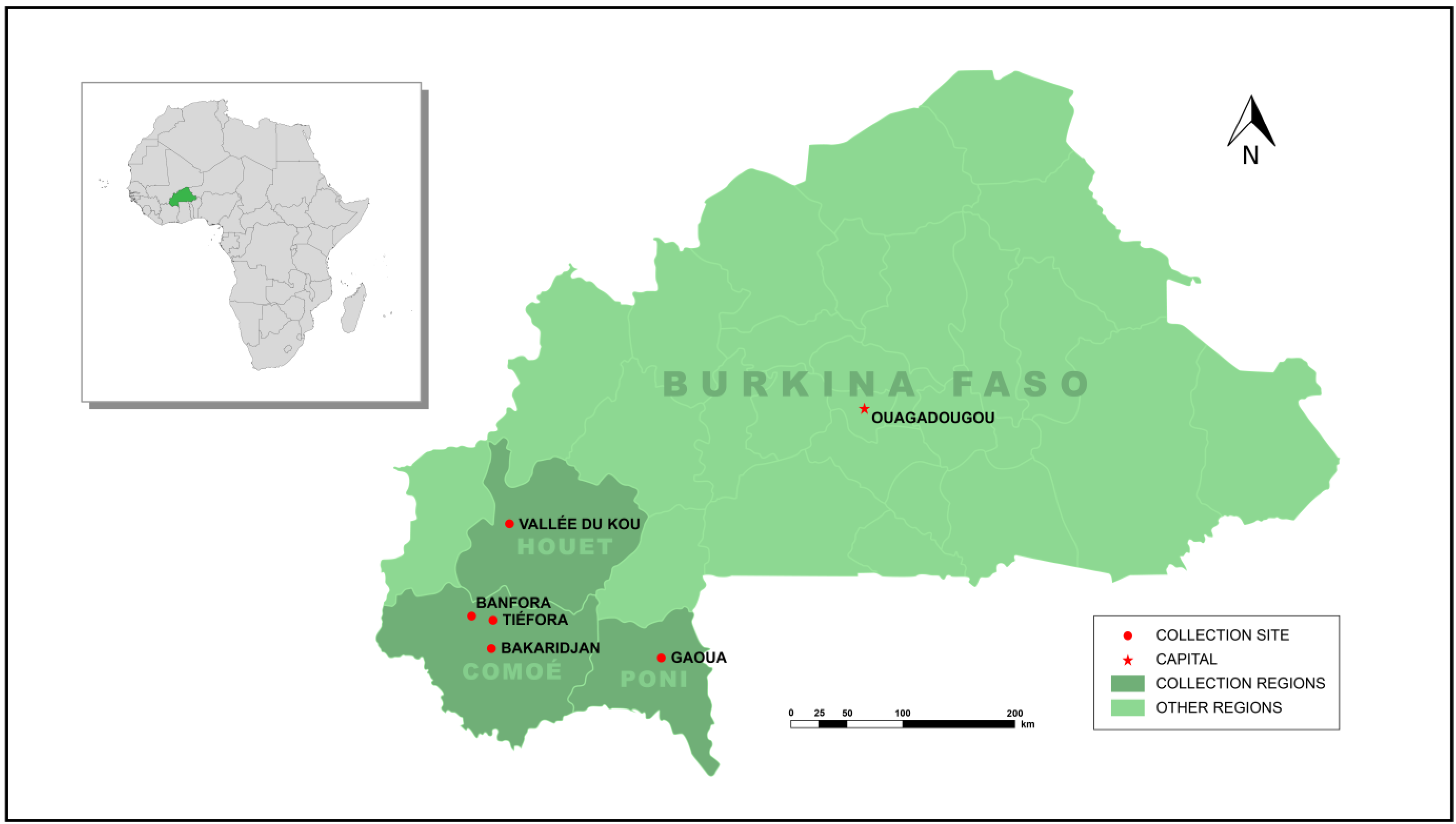 Insects 13 00247 g001