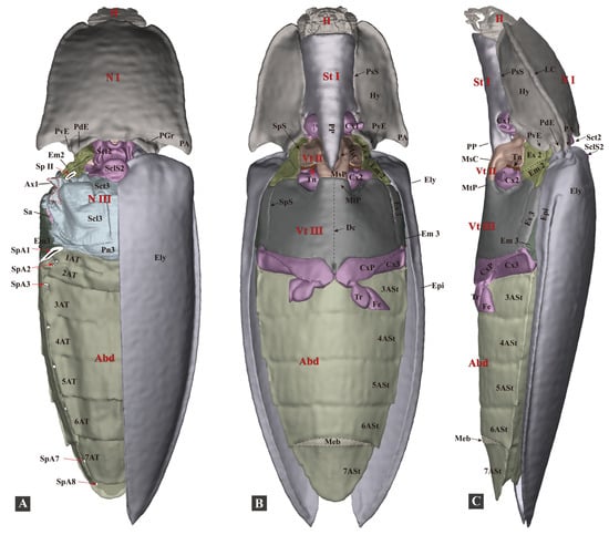 Insects 13 00248 g003 550