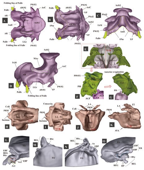 Insects 13 00248 g005 550