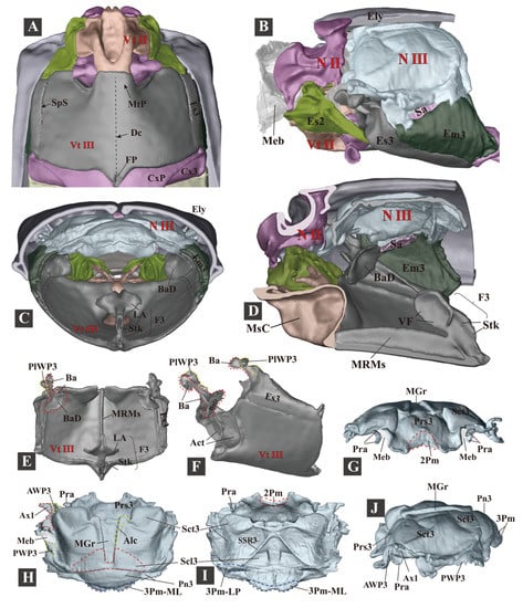 Insects 13 00248 g006 550