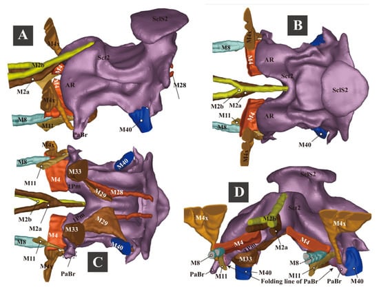 Insects 13 00248 g008 550