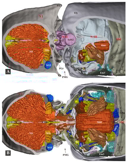 Insects 13 00248 g009 550