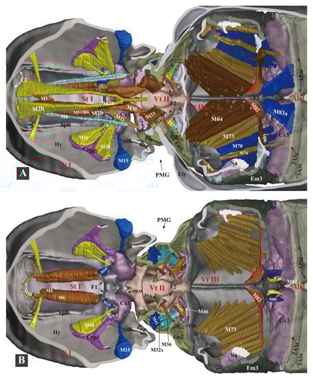 Insects 13 00248 g010 550