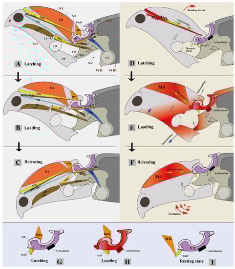 Insects 13 00248 g013 550