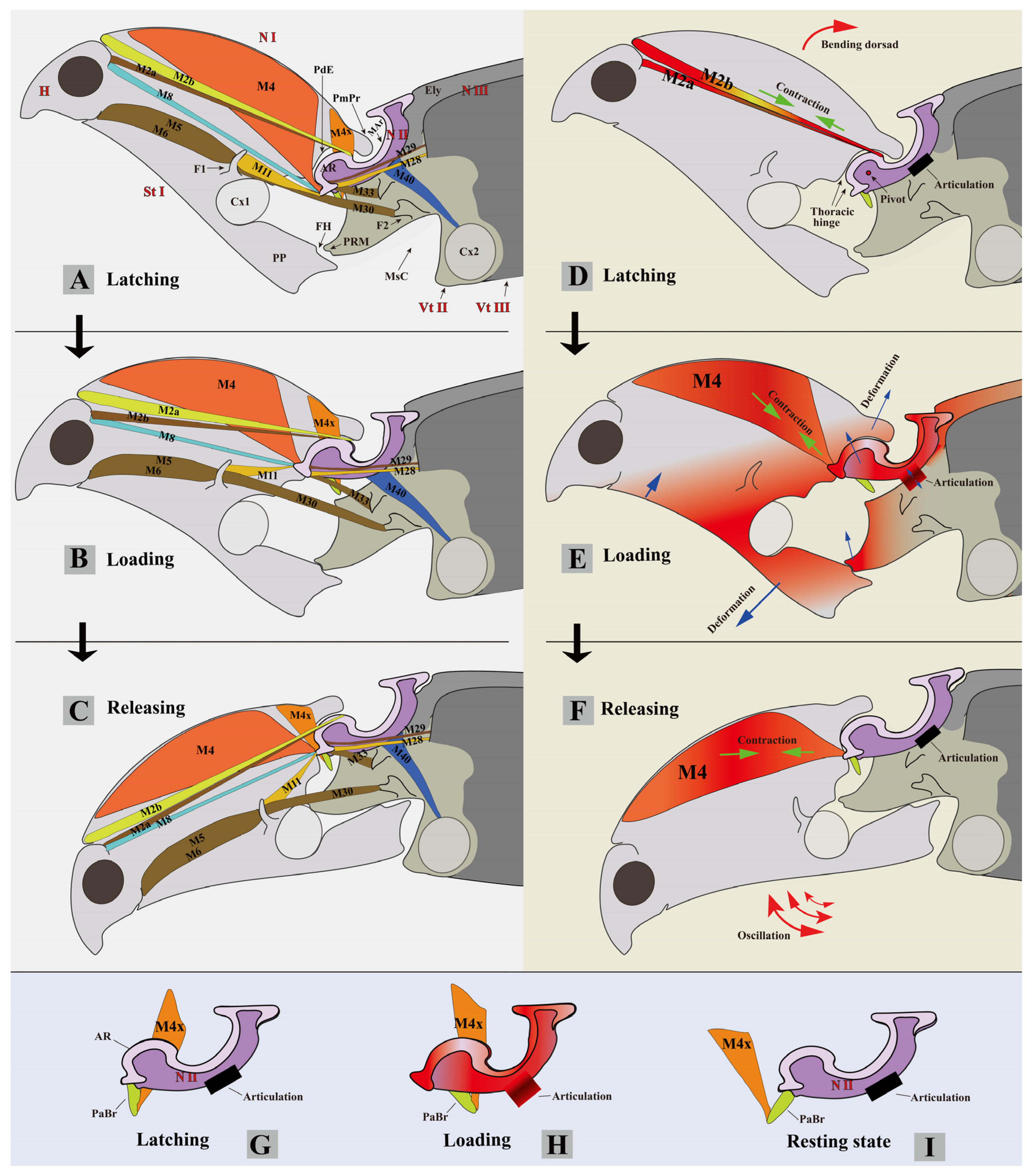 Insects 13 00248 g013