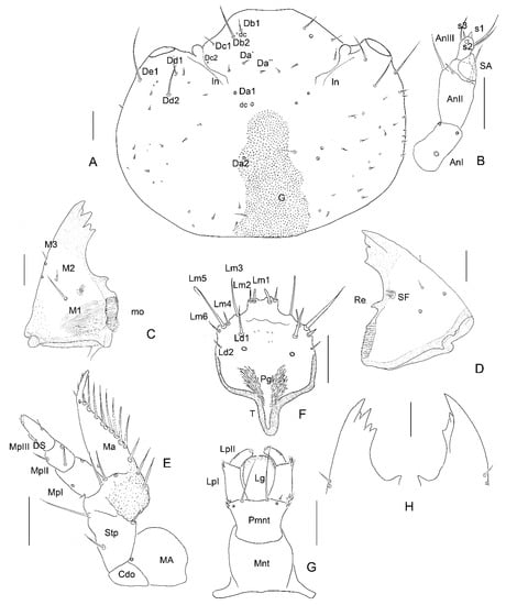 Insects 13 00249 g004 550