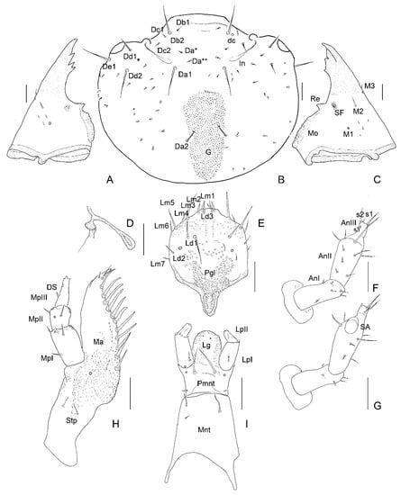 Insects 13 00249 g005 550
