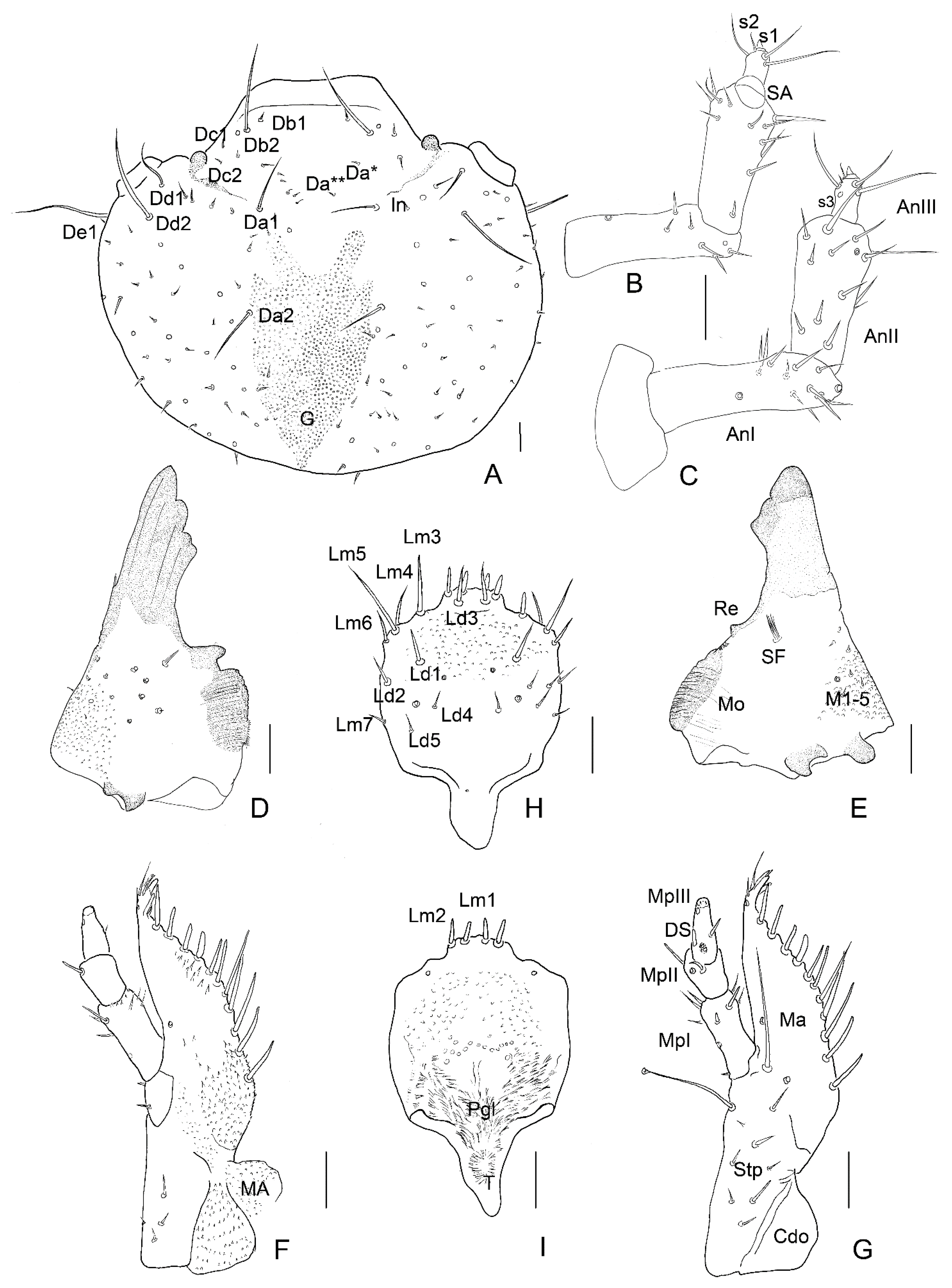 Insects 13 00249 g006