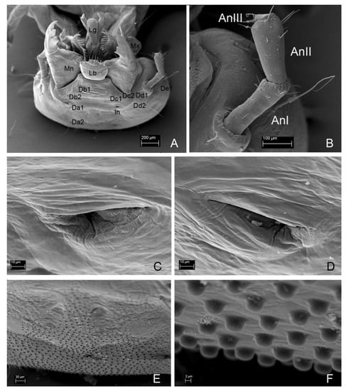 Insects 13 00249 g007 550