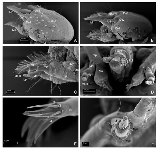 Insects 13 00249 g009 550