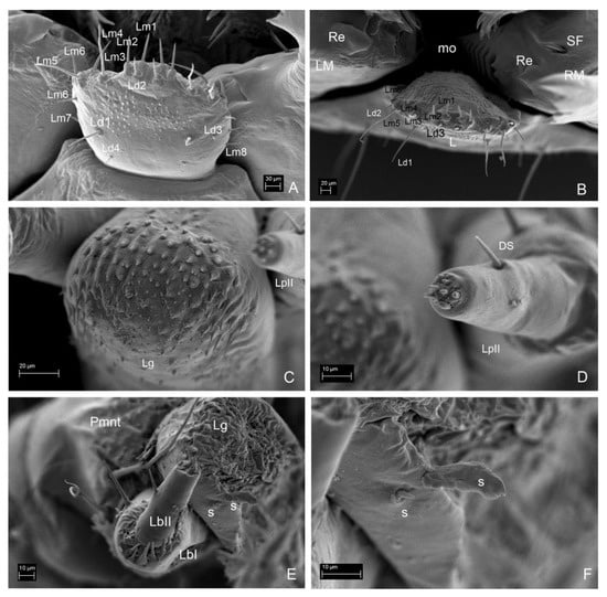 Insects 13 00249 g011 550