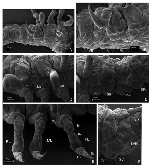 Insects 13 00249 g012 550
