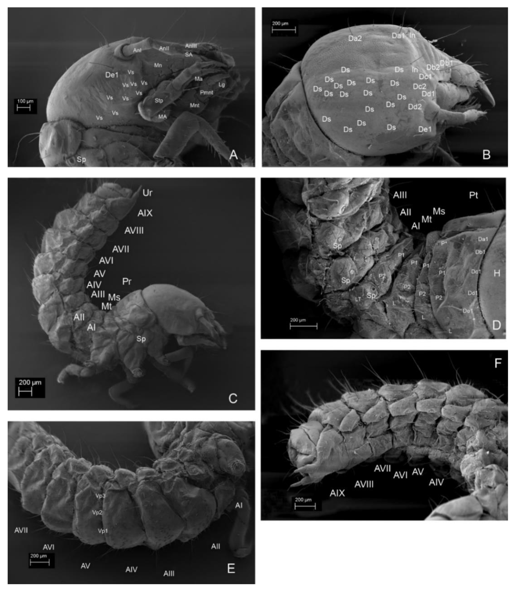 Insects 13 00249 g013