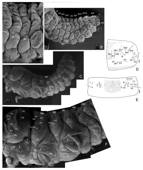 Insects 13 00249 g014 550