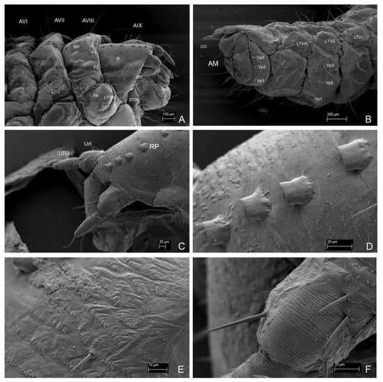 Insects 13 00249 g015 550