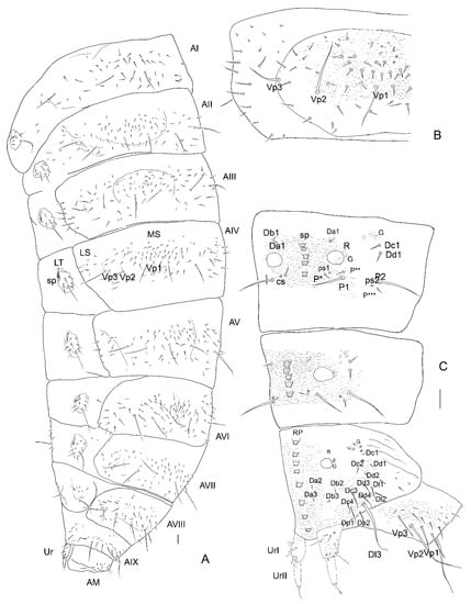 Insects 13 00249 g016 550