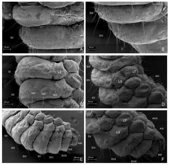 Insects 13 00249 g018 550