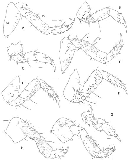 Insects 13 00249 g019 550