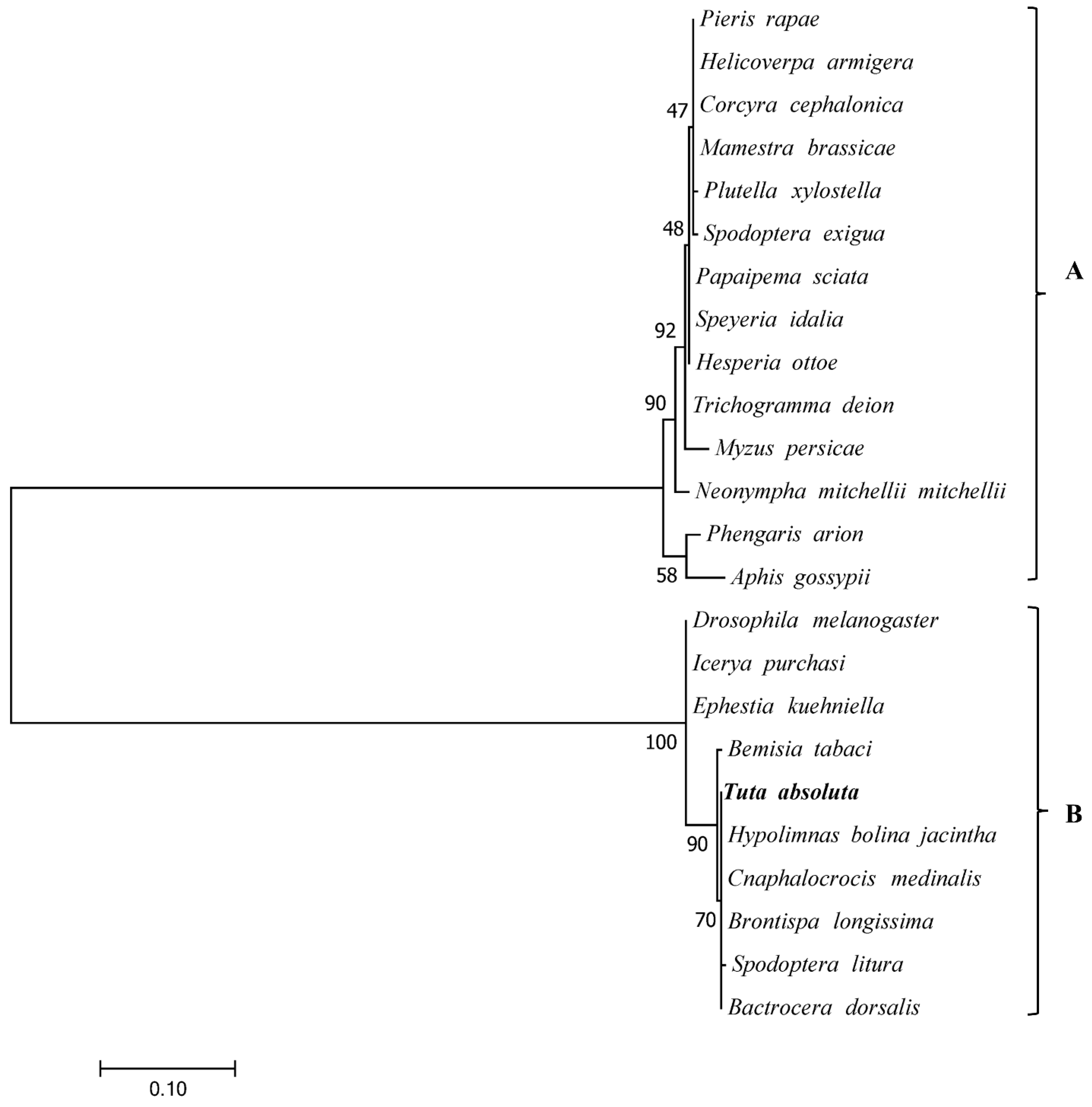 Insects 13 00252 g005 Insects 13 00252 g005