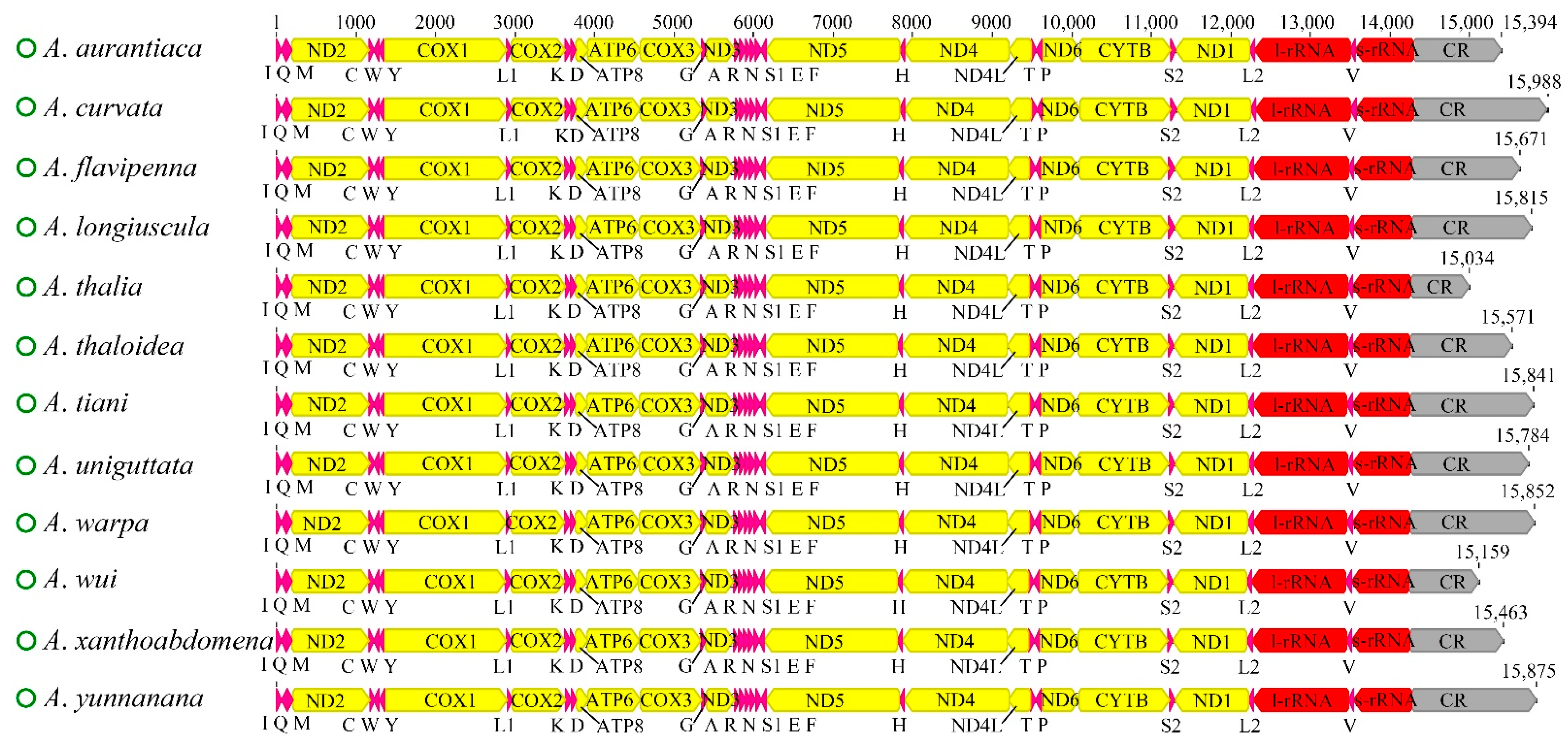 Insects 13 00254 g001