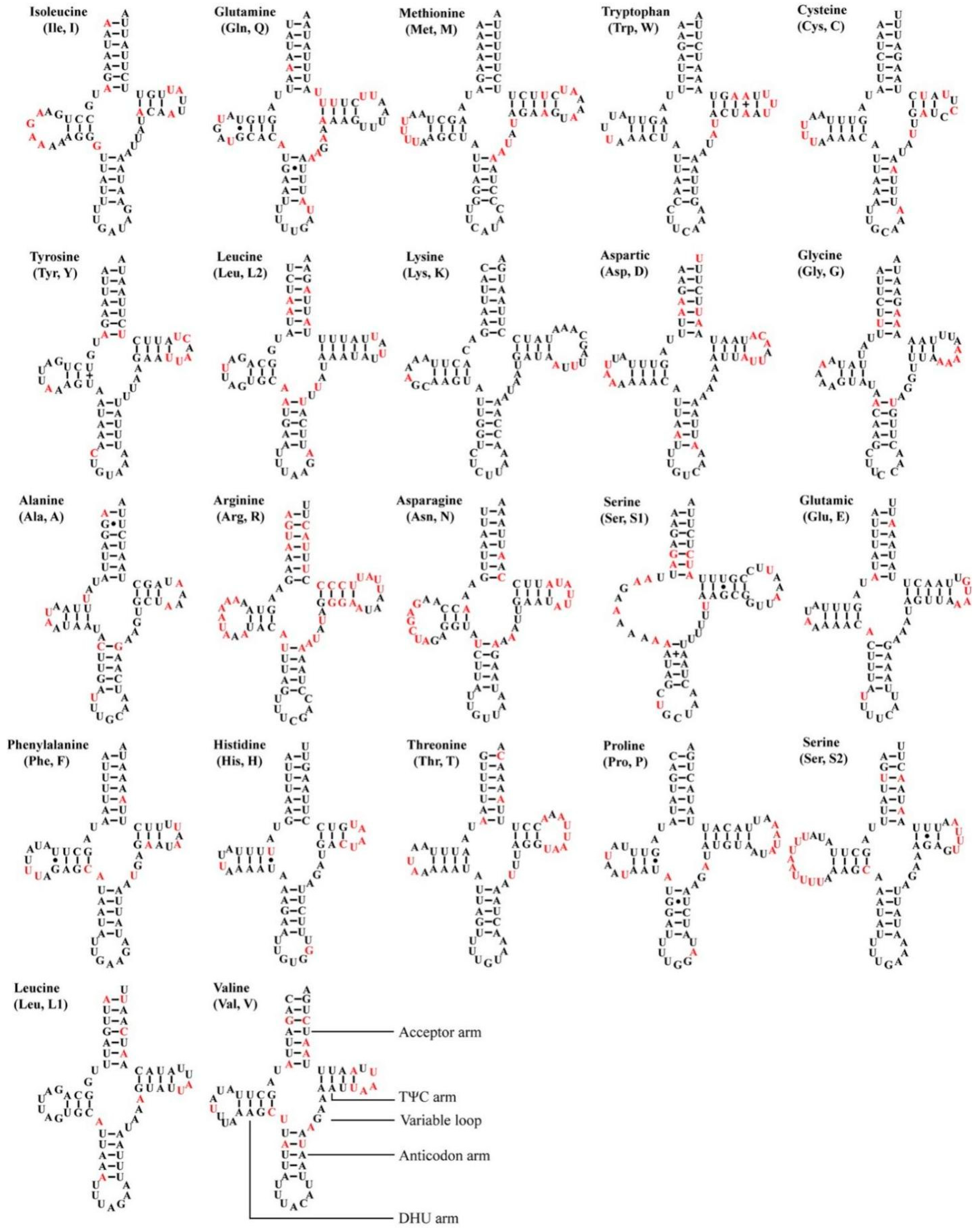 Insects 13 00254 g005
