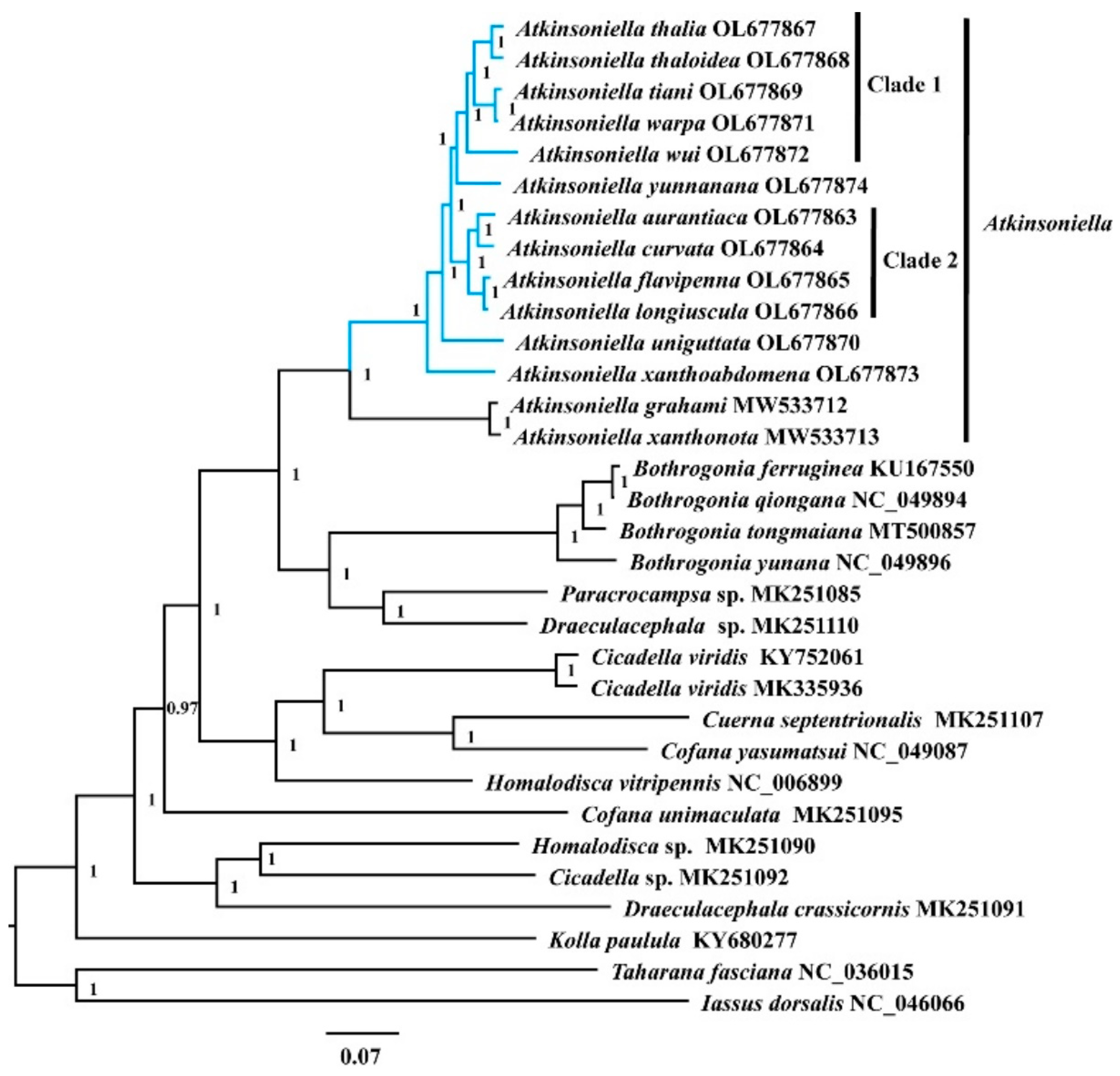 Insects 13 00254 g006