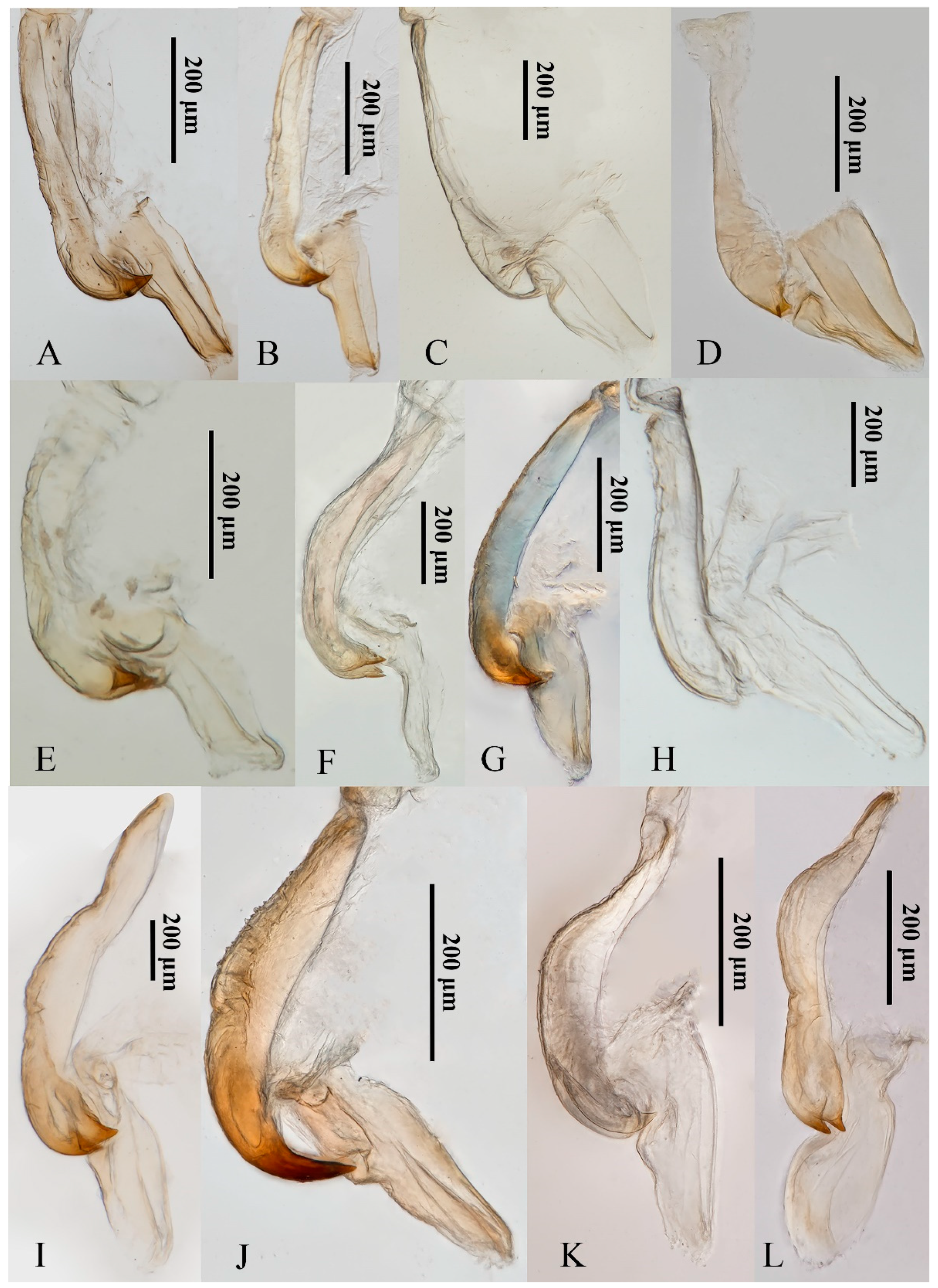 Insects 13 00254 g008