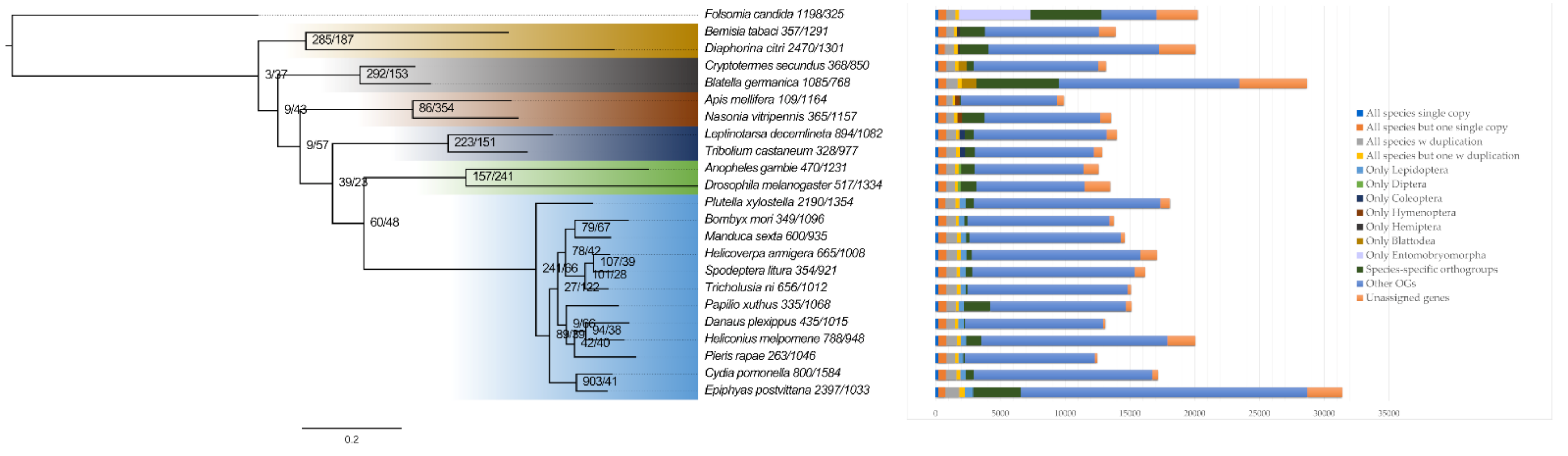 Insects 13 00264 g002 Insects 13 00264 g002