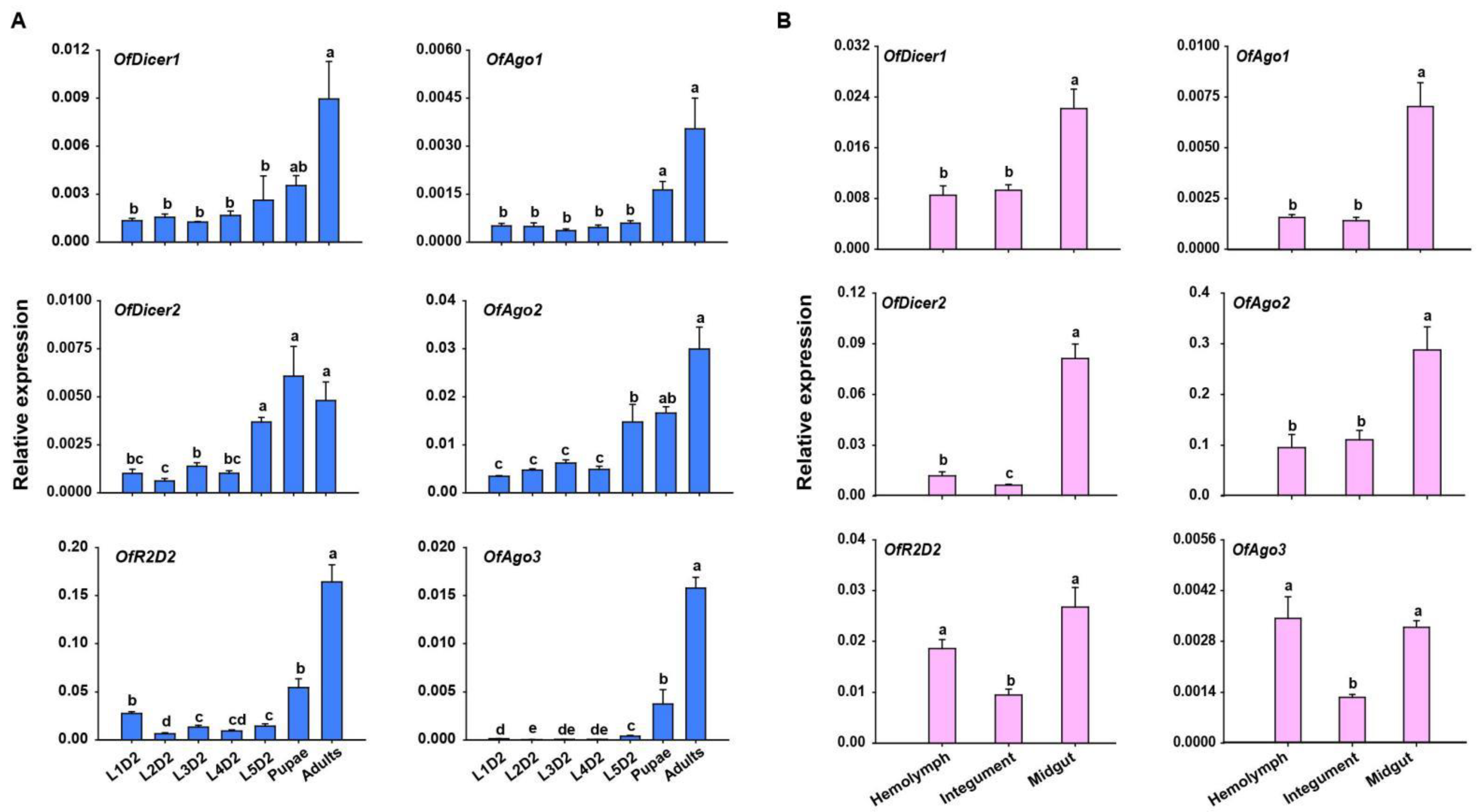 Insects 13 00274 g002