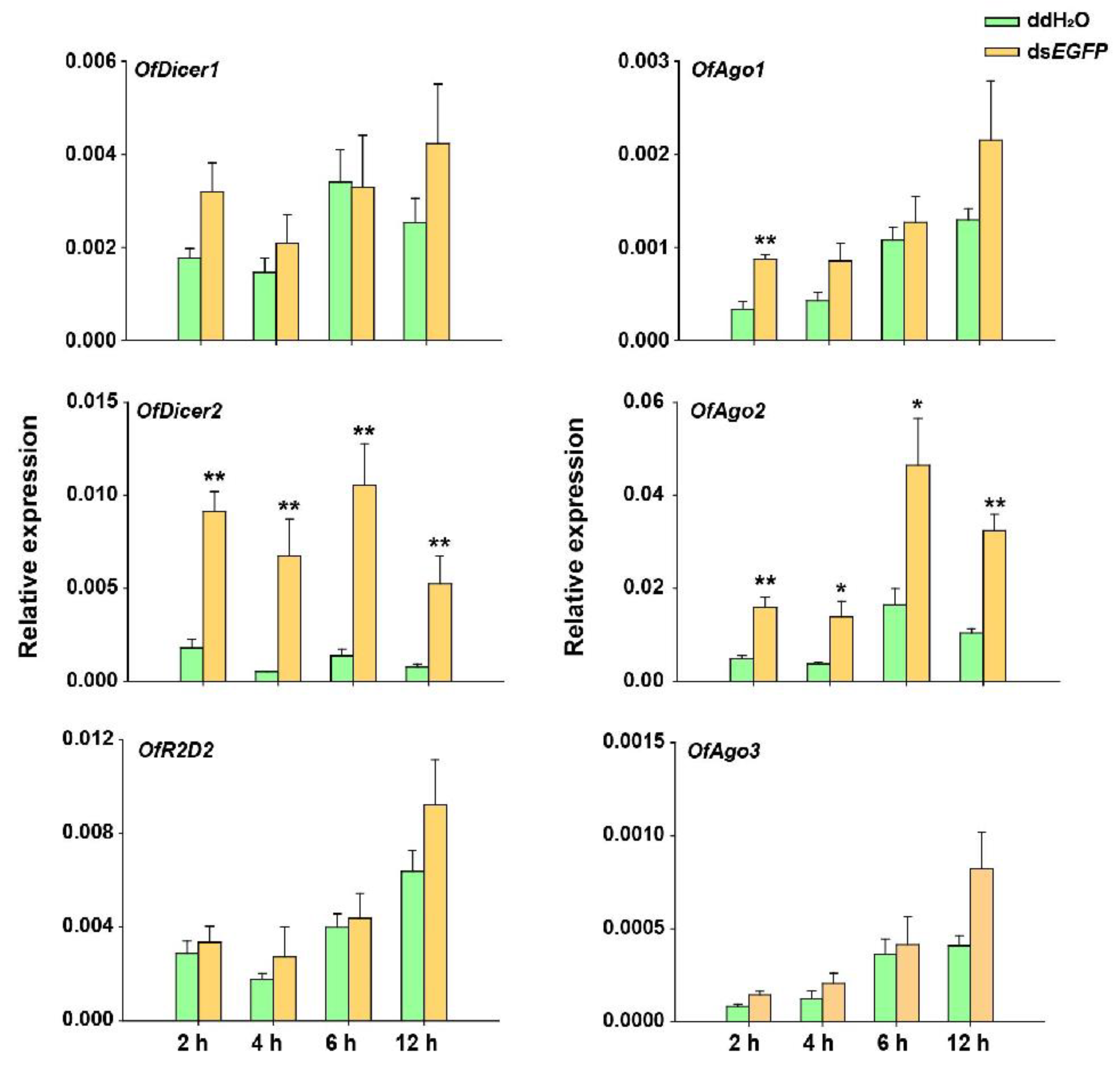 Insects 13 00274 g003