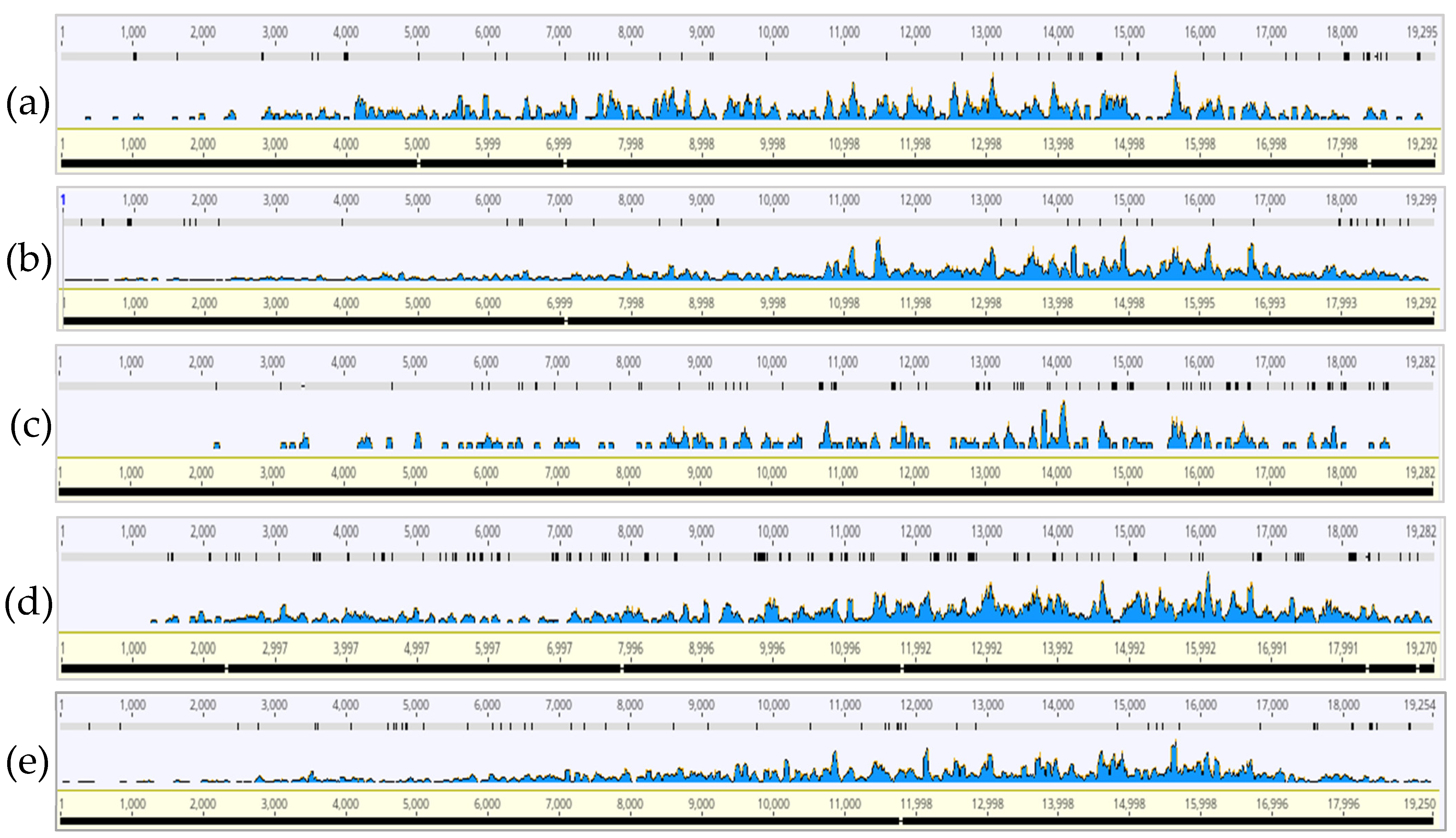Insects 13 00275 g001
