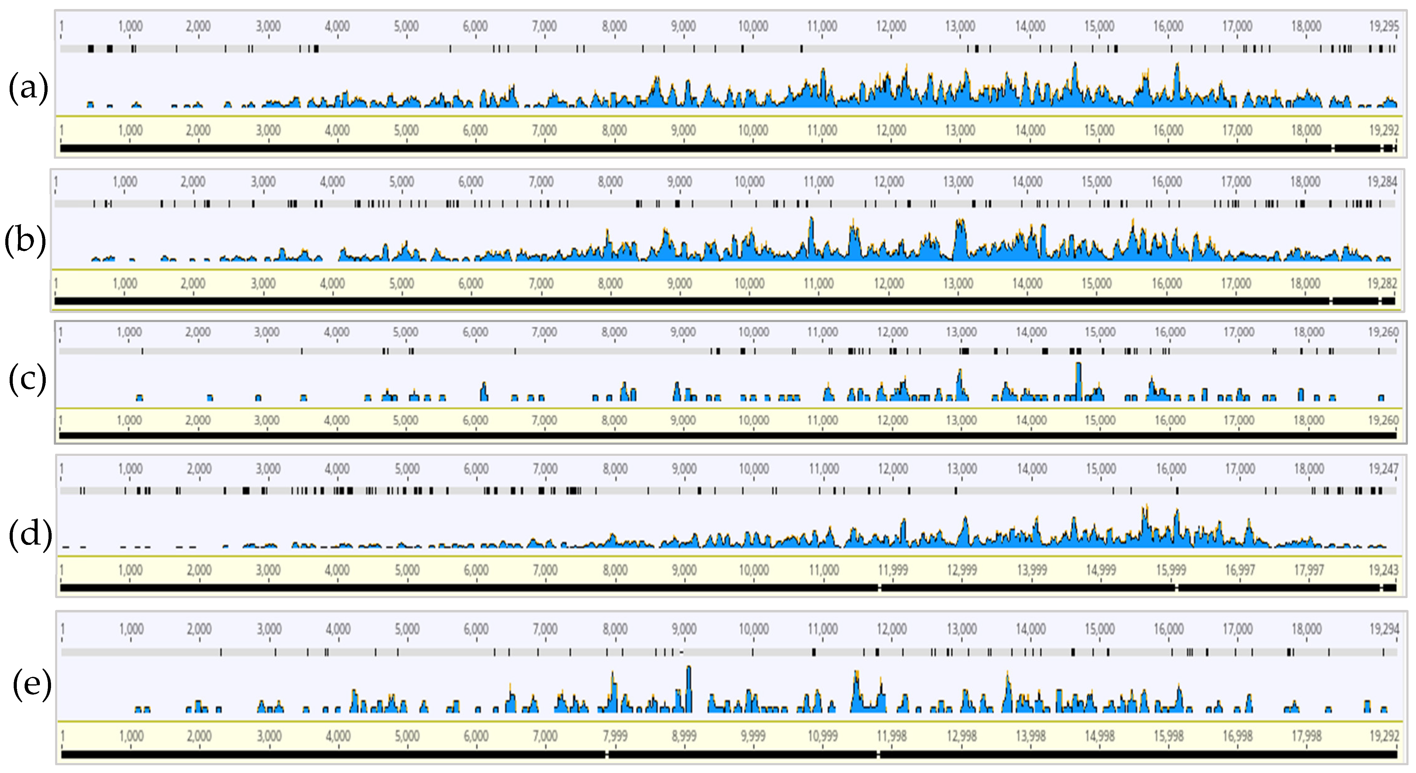 Insects 13 00275 g002