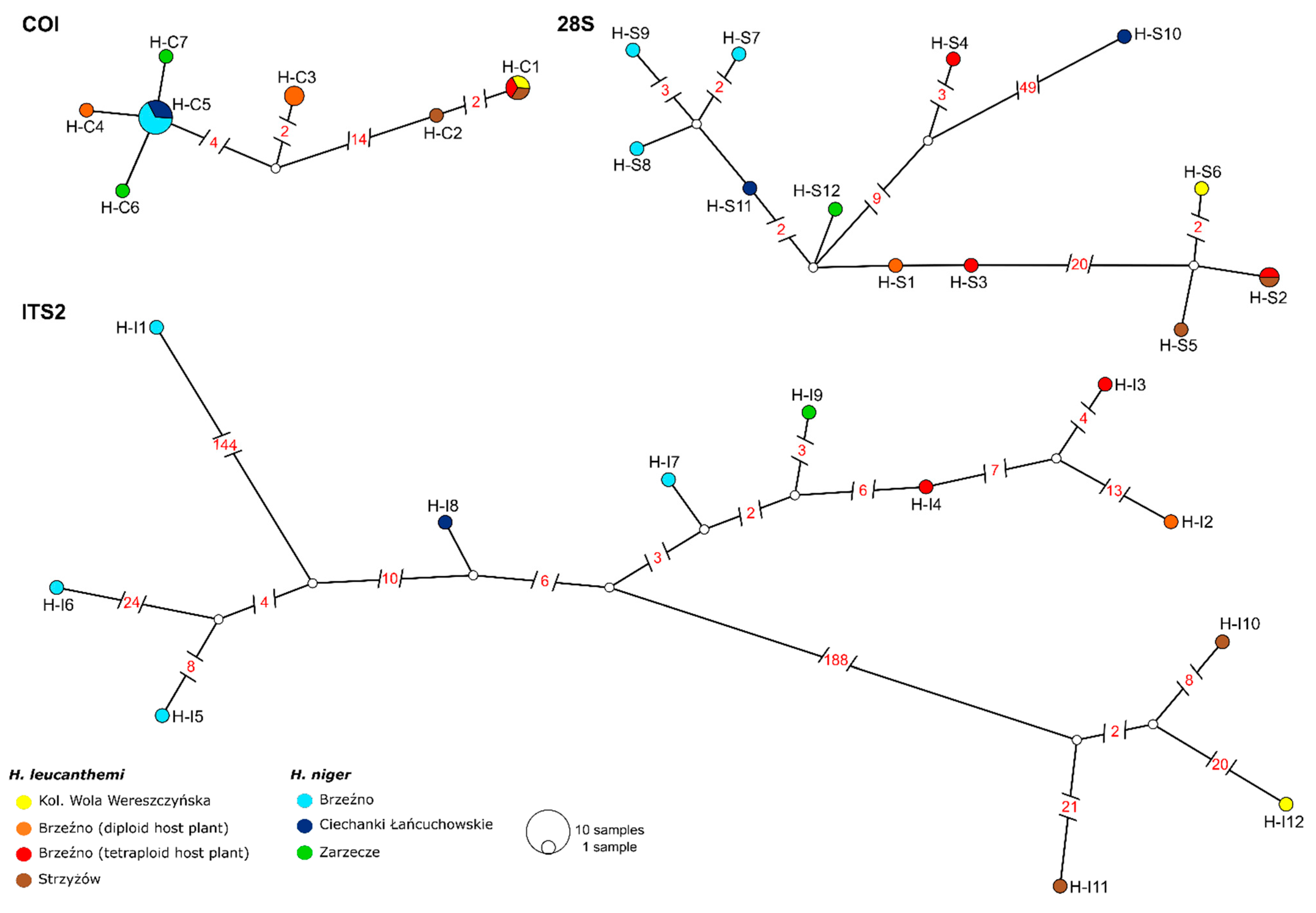 Insects 13 00279 g001