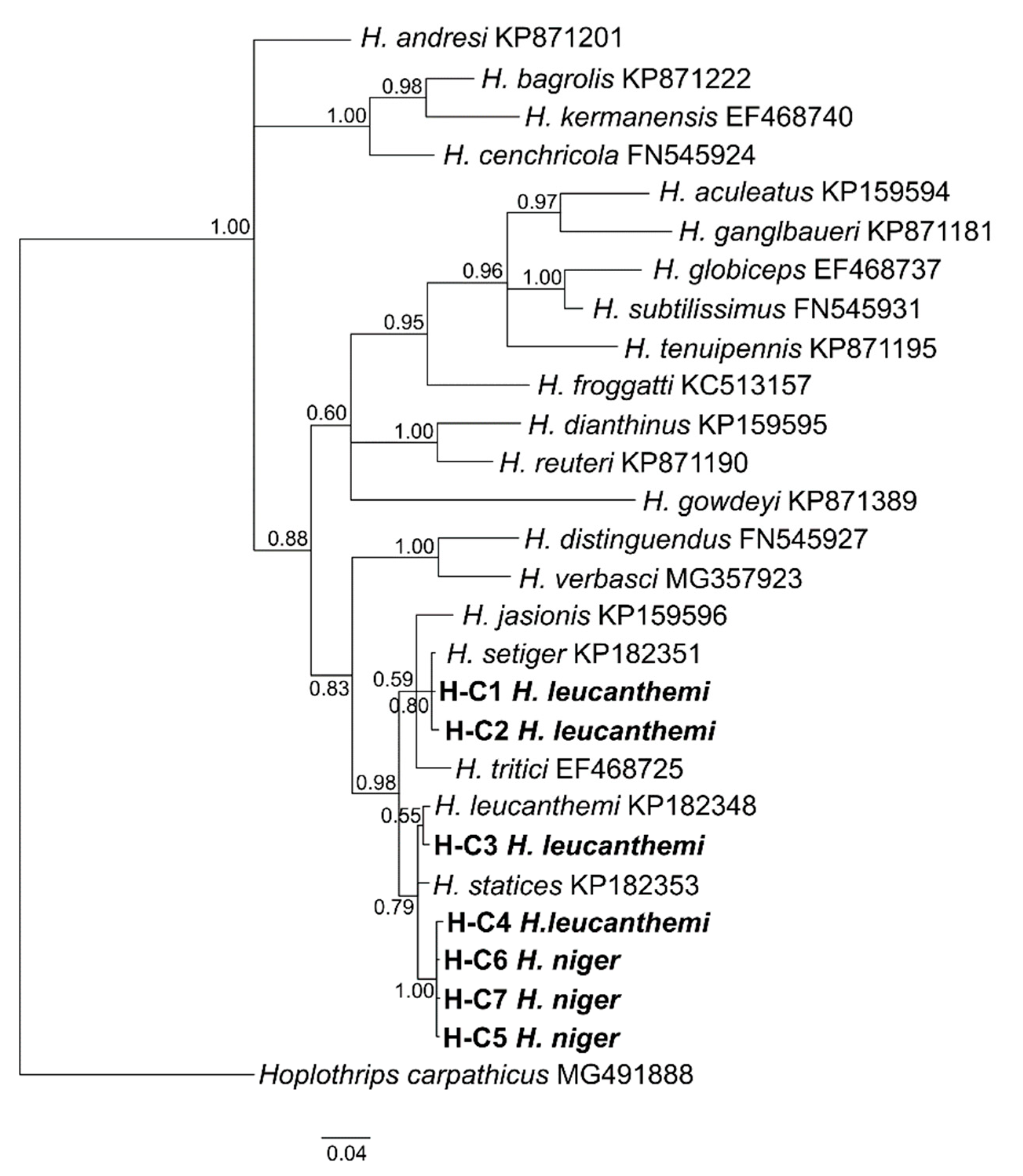 Insects 13 00279 g002