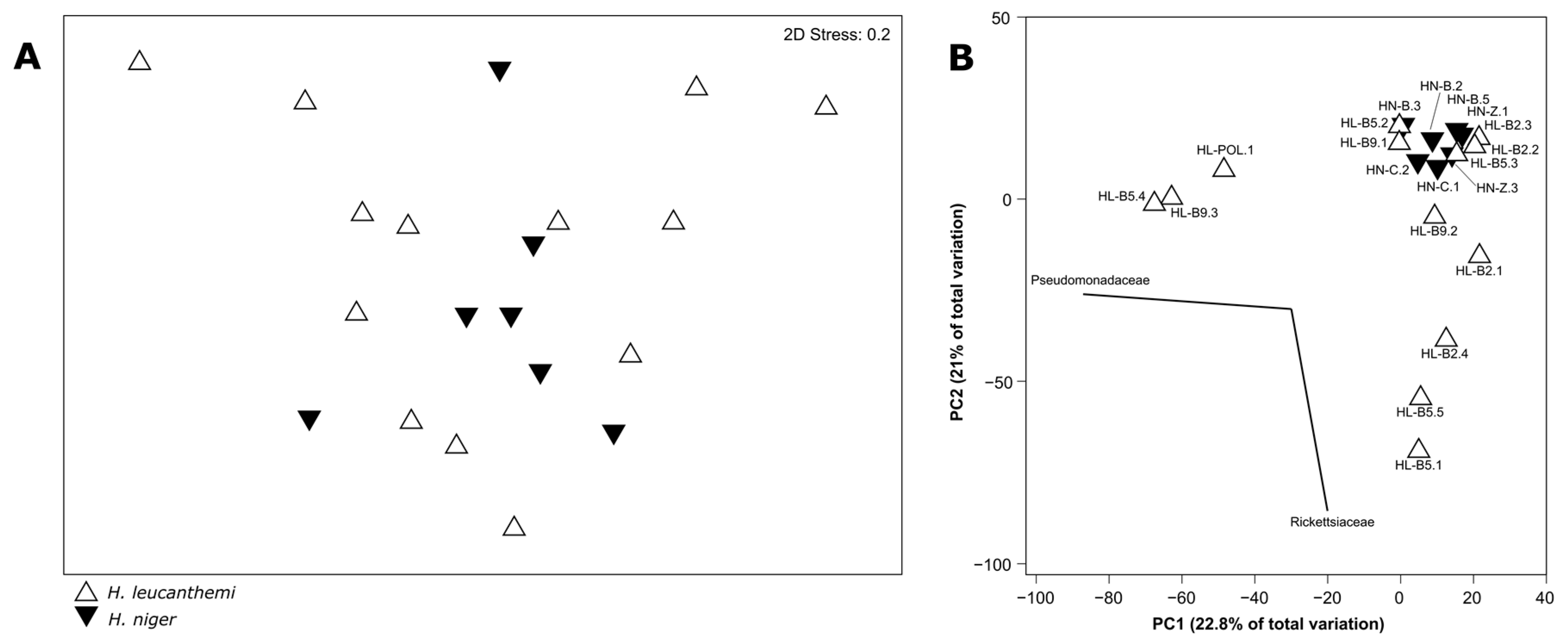 Insects 13 00279 g004