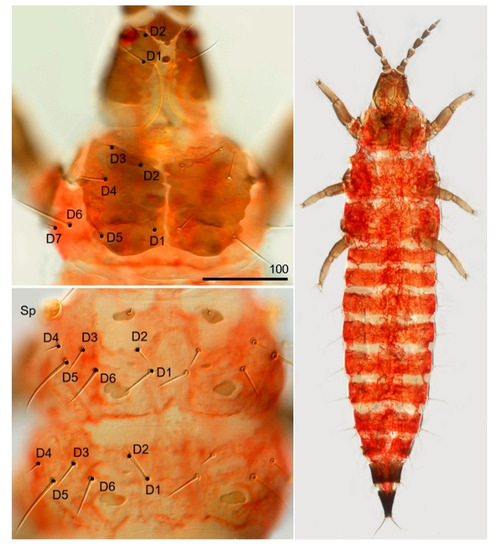 Insects 13 00279 g0a1